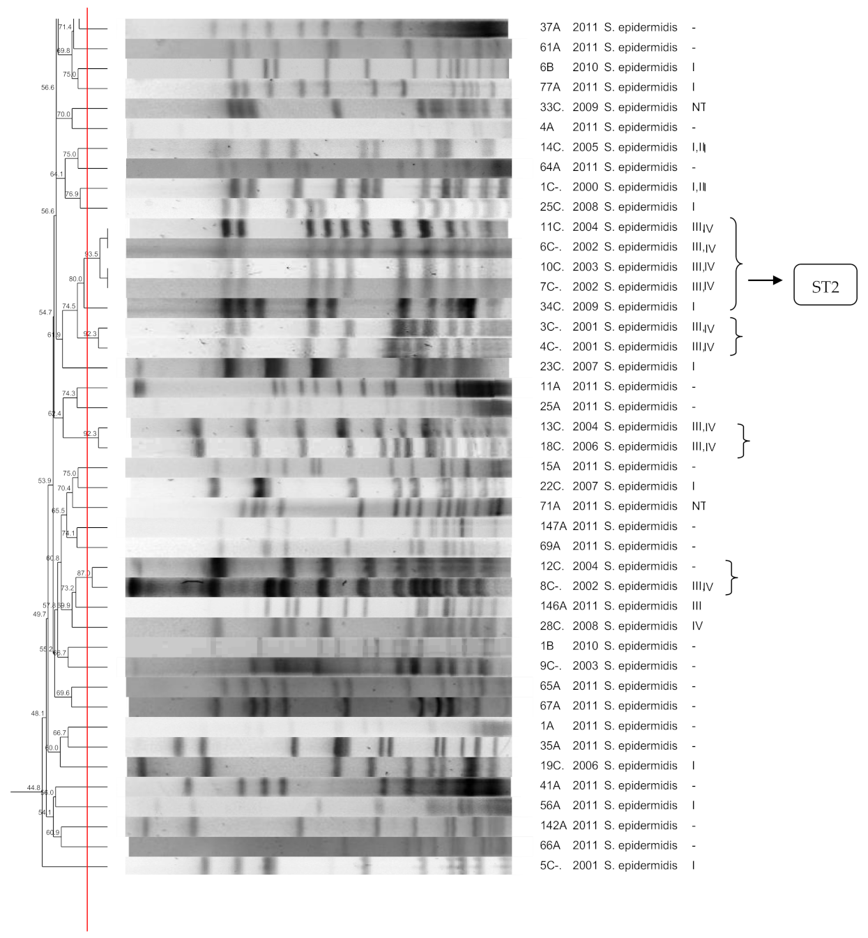 Pathogens 10 00792 g001b