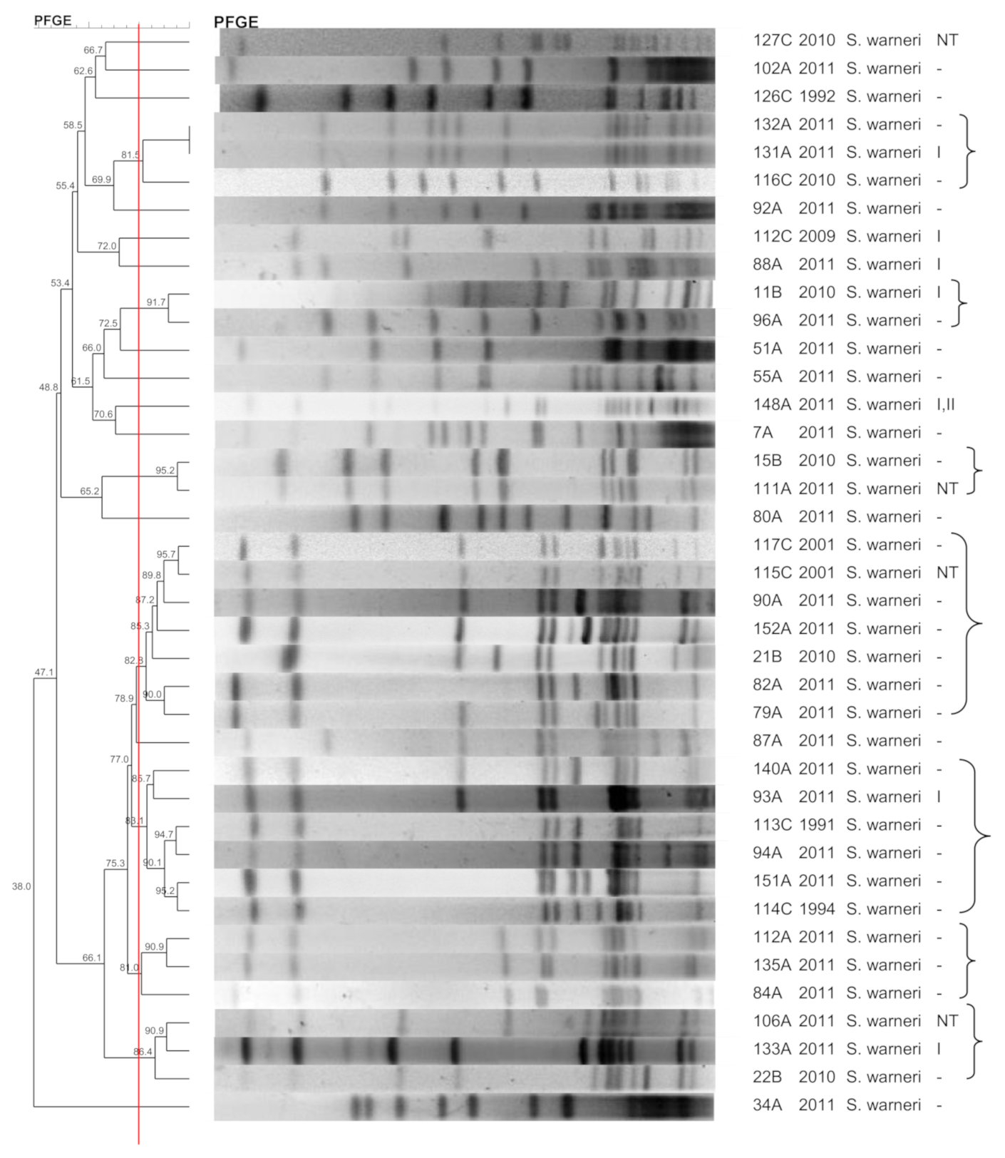 Pathogens 10 00792 g003