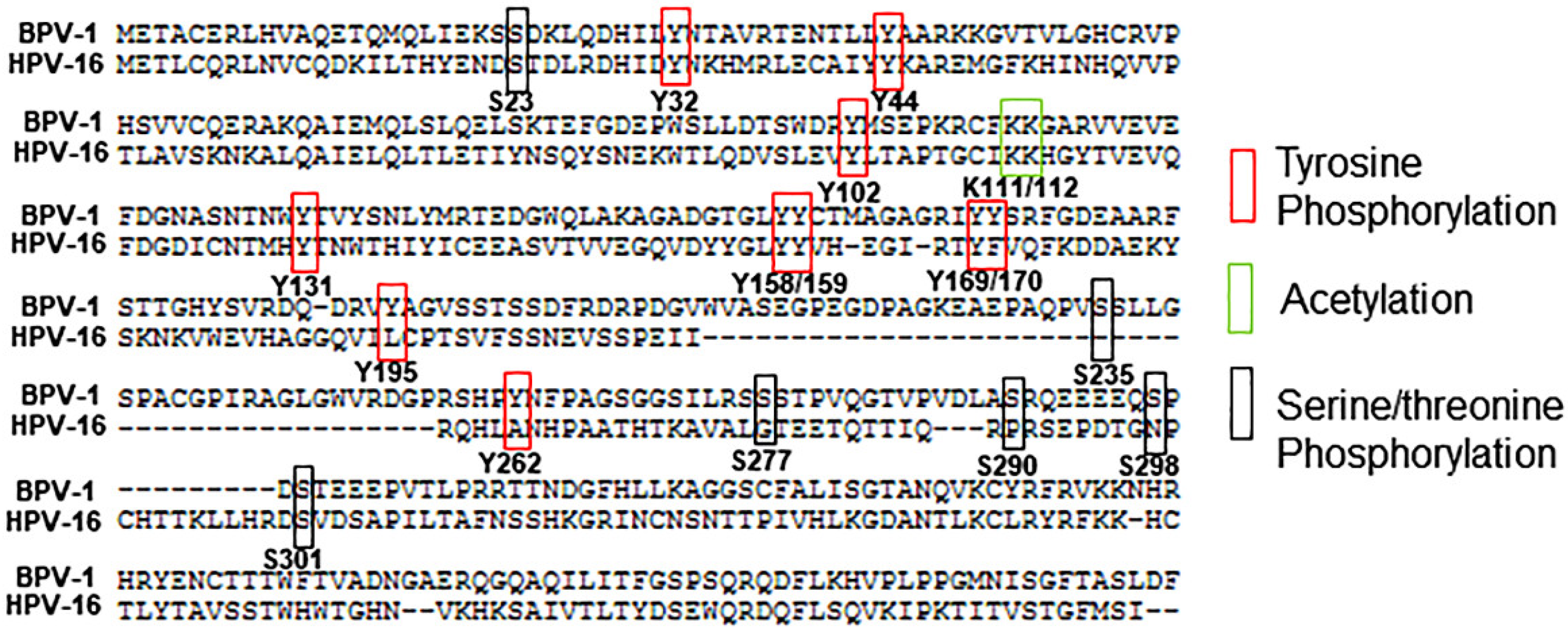 Pathogens 10 00793 g001 Pathogens 10 00793 g001