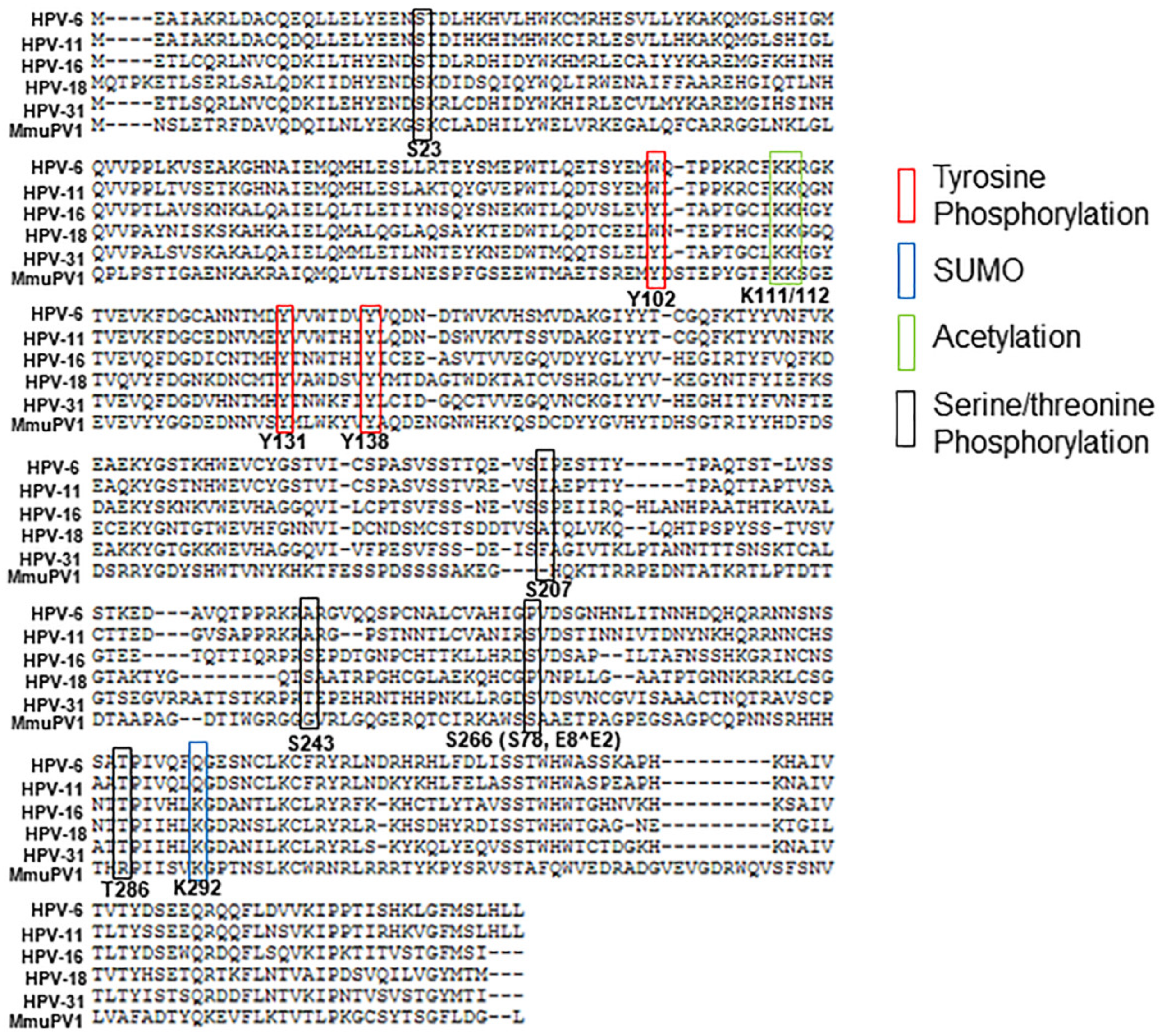 Pathogens 10 00793 g002 Pathogens 10 00793 g002
