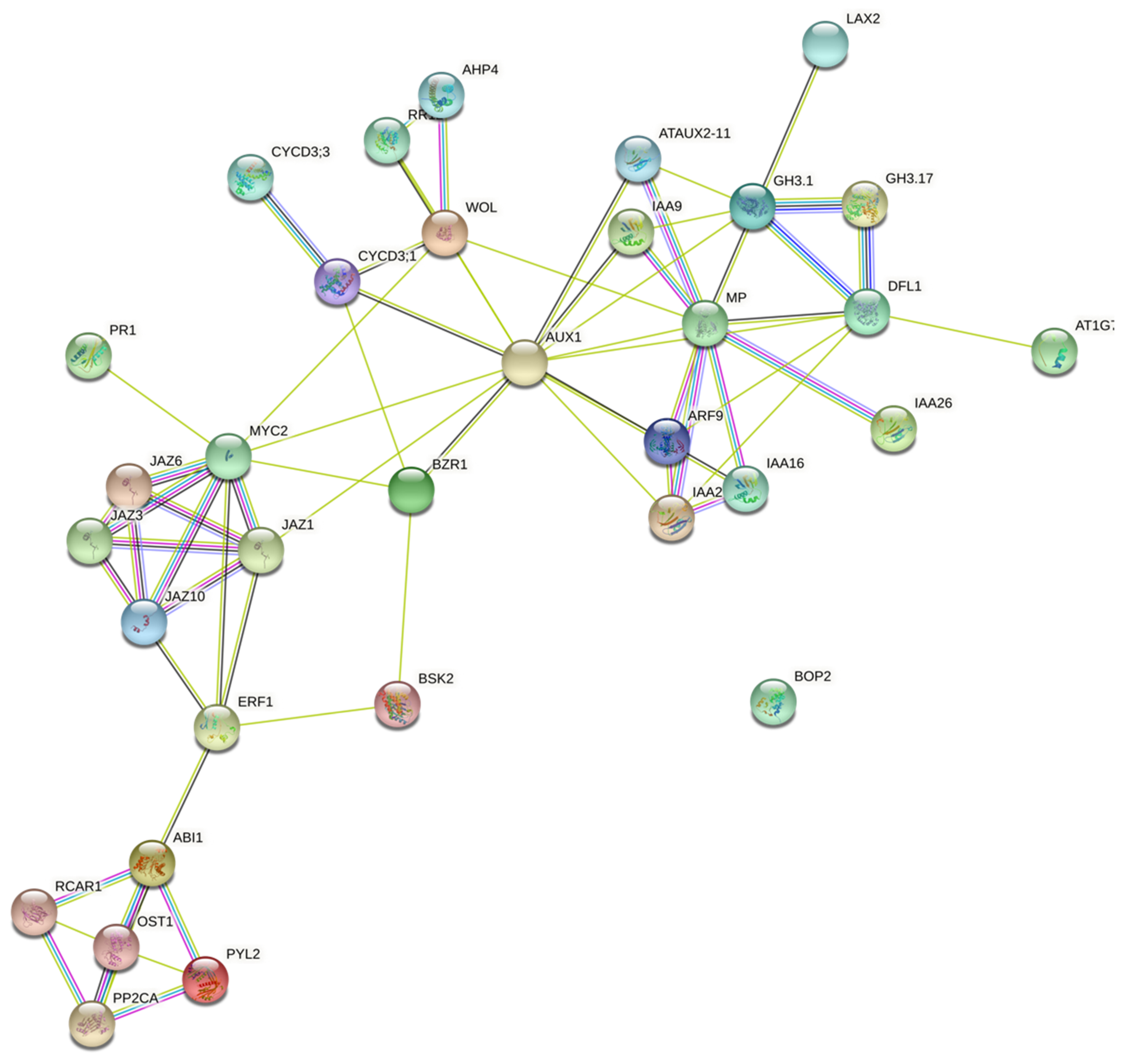 Pathogens 10 00796 g005 550