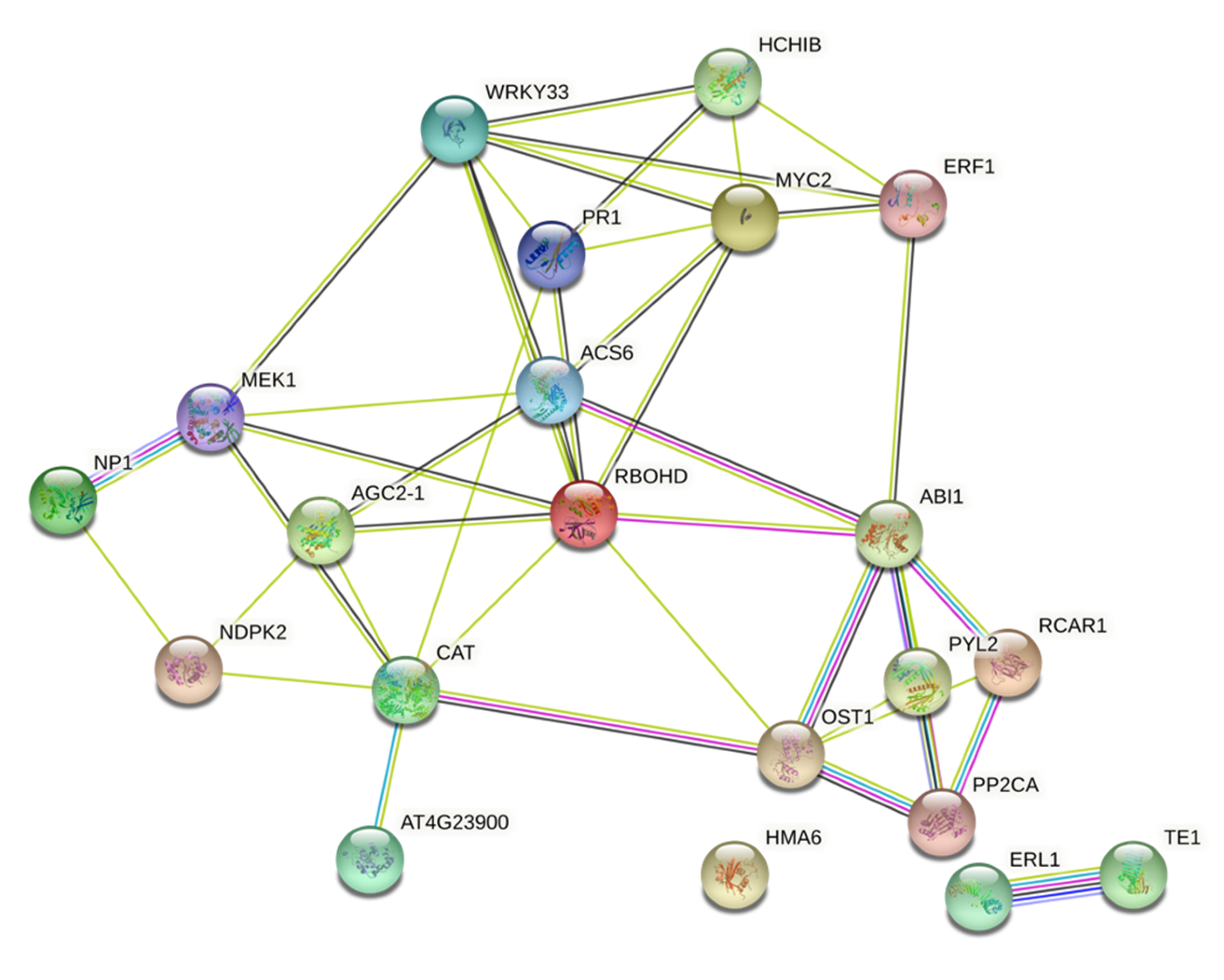 Pathogens 10 00796 g006 550