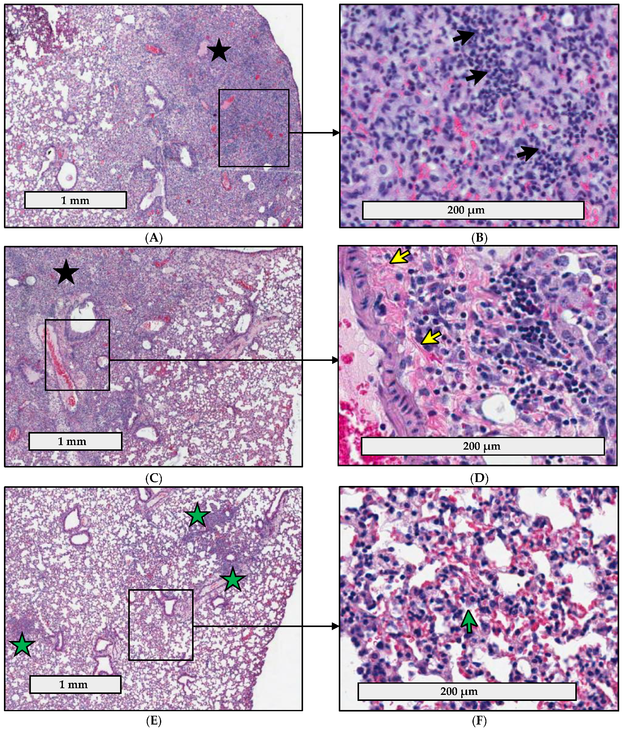 Pathogens 10 00799 g003a