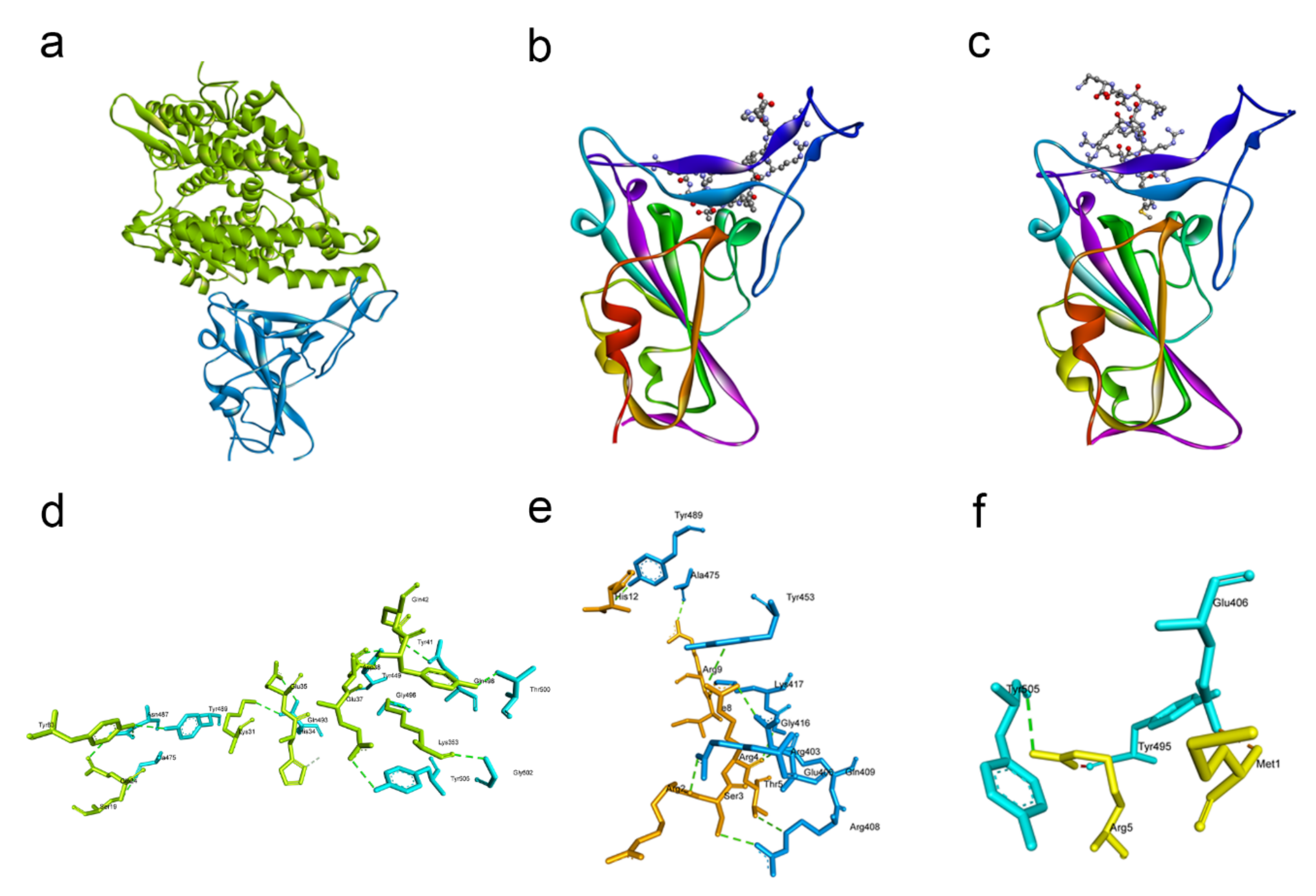 Pathogens 10 00803 g001 550