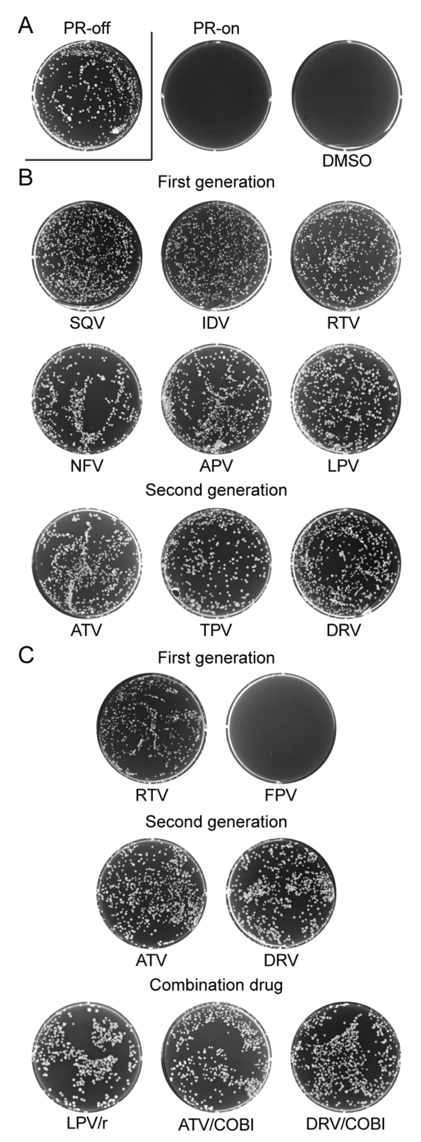 Pathogens 10 00804 g002