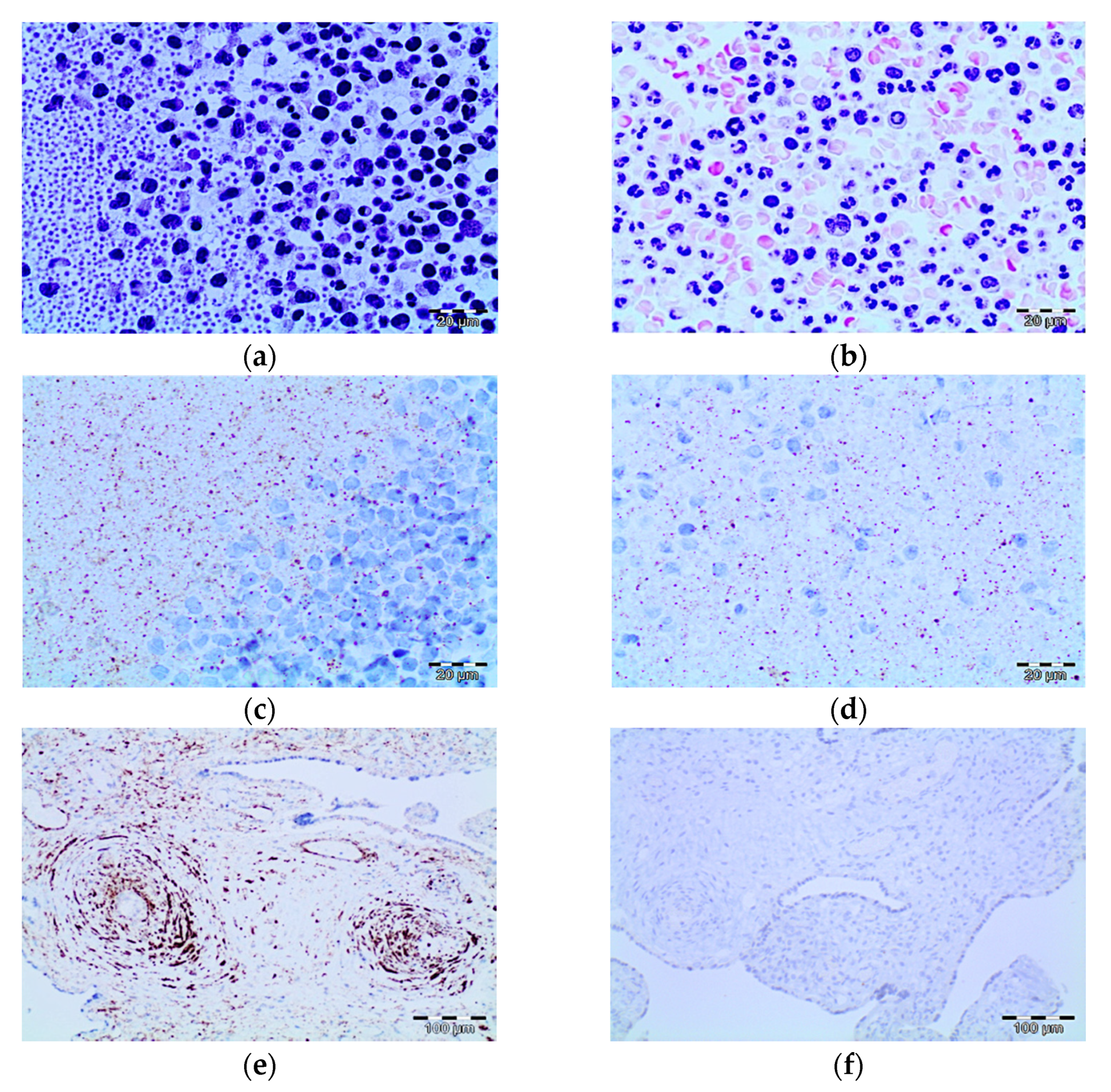 Pathogens 10 00805 g005 550