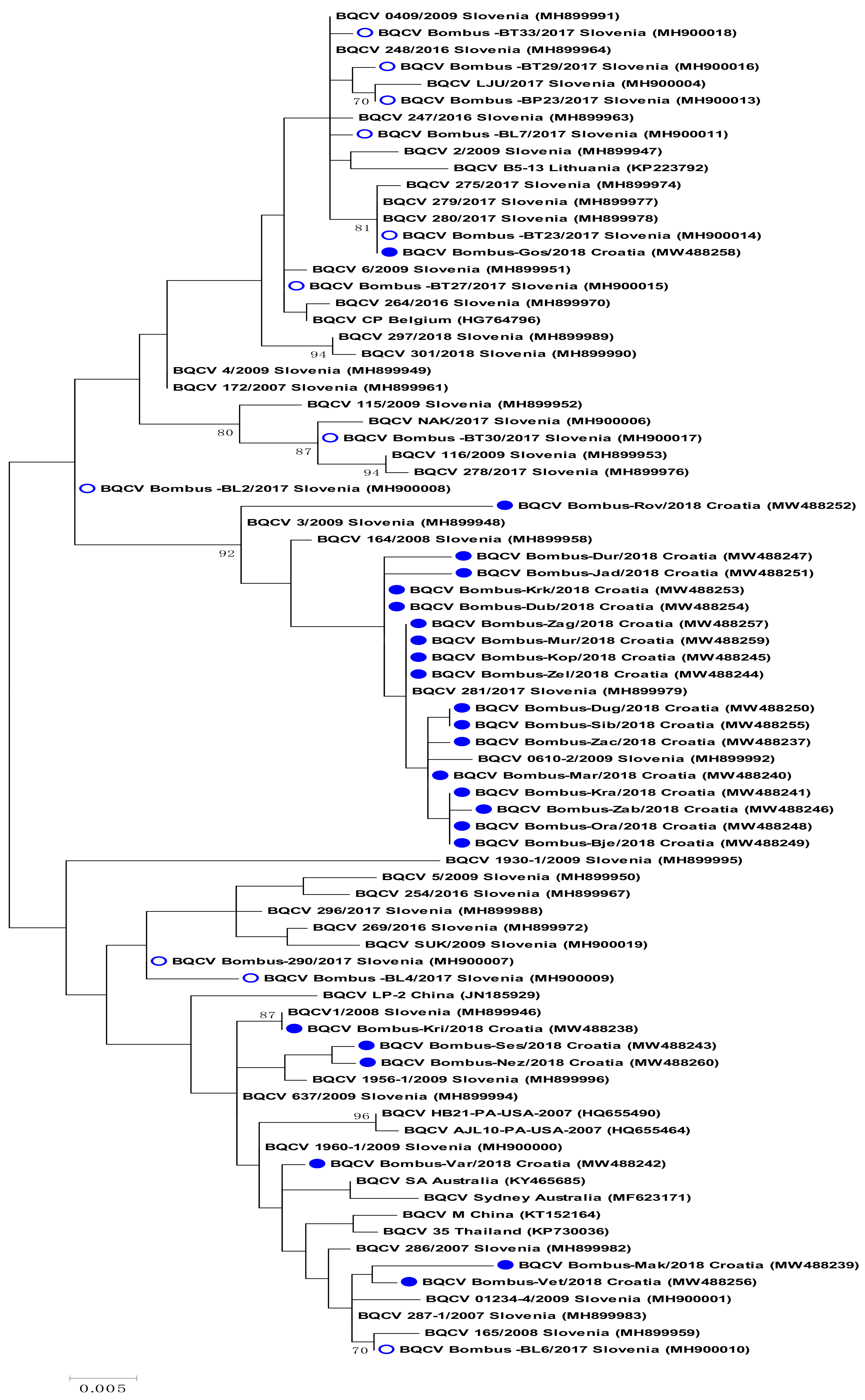 Pathogens 10 00808 g002 550