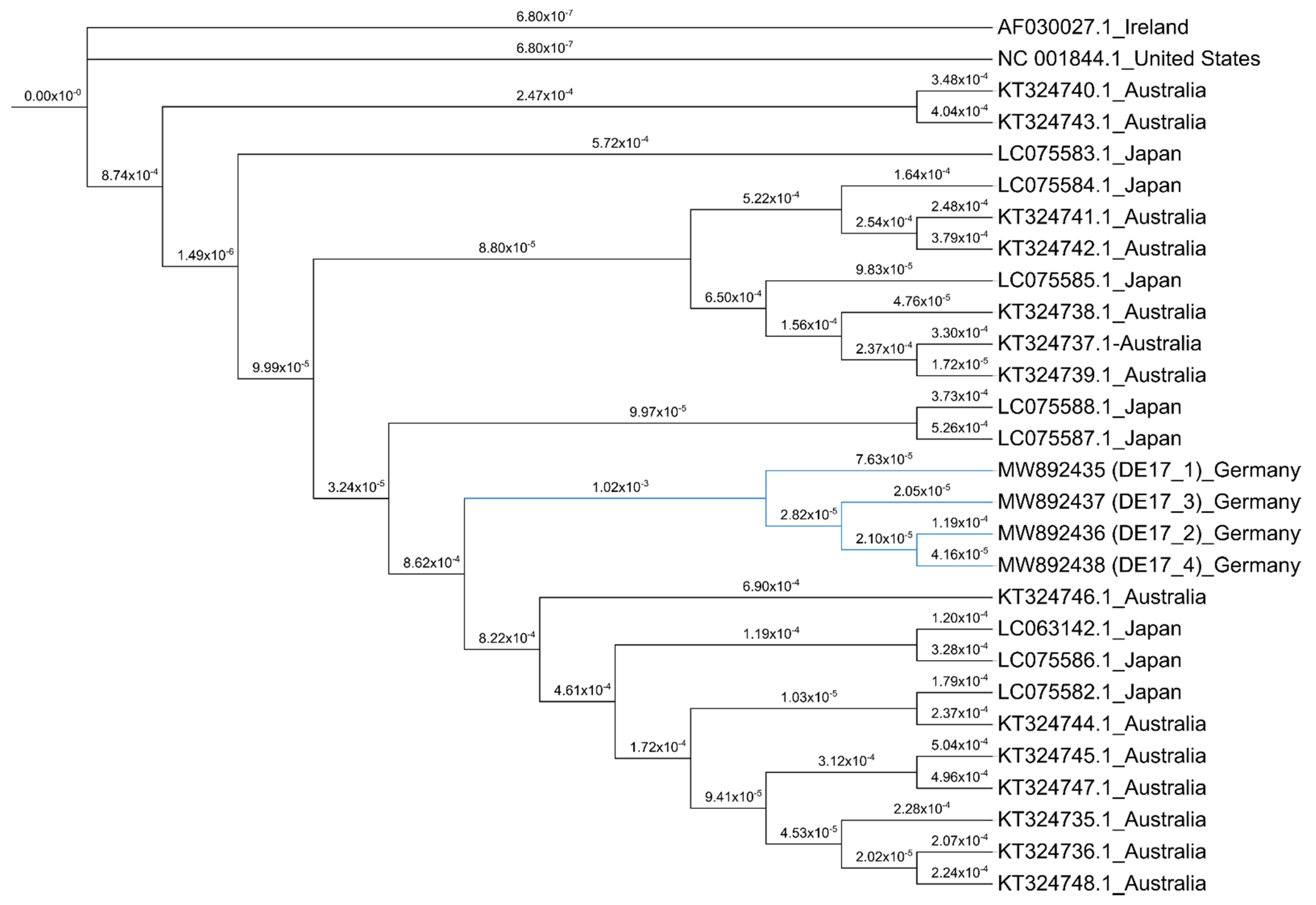 Pathogens 10 00810 g006