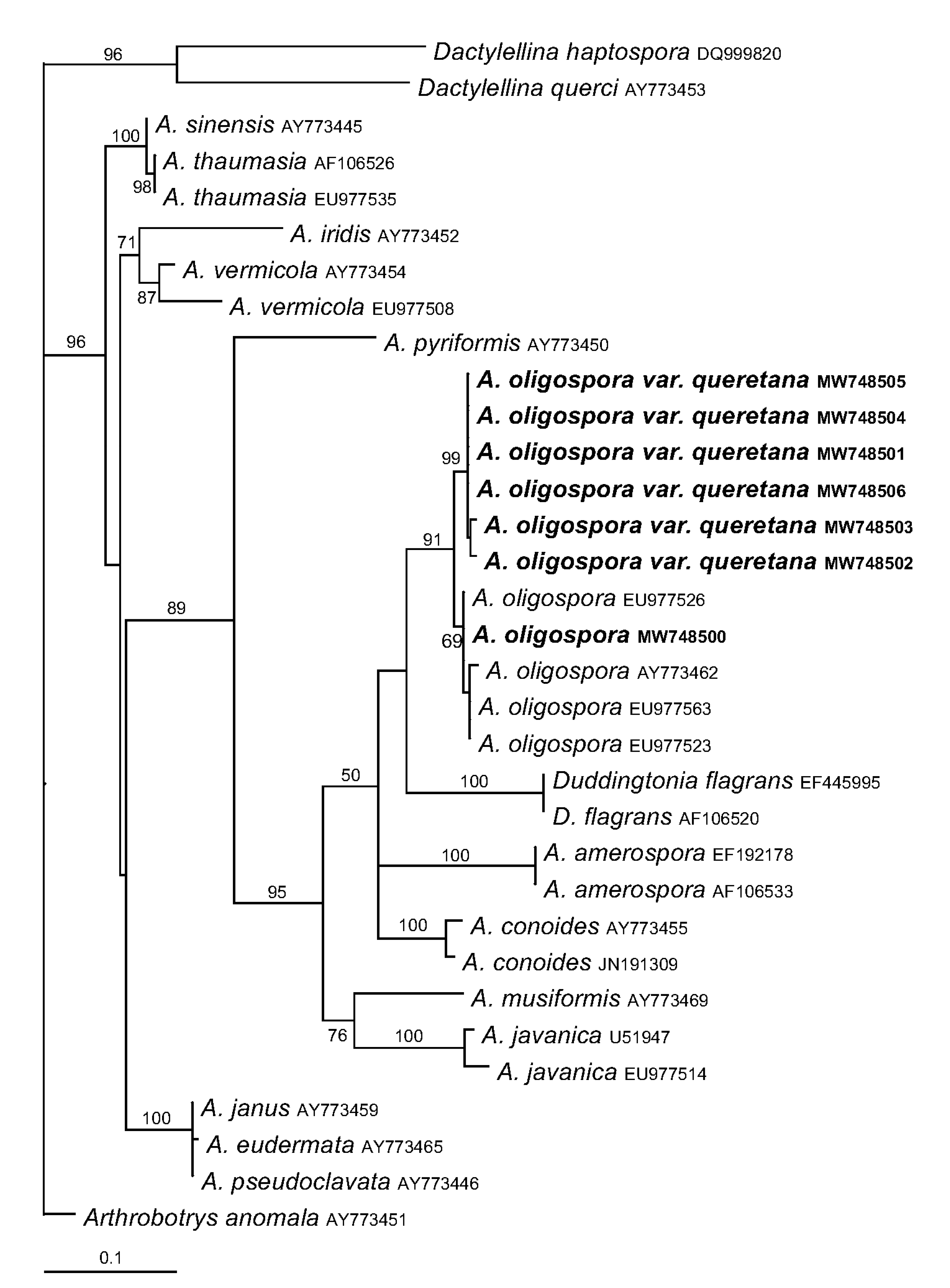 Pathogens 10 00815 g005
