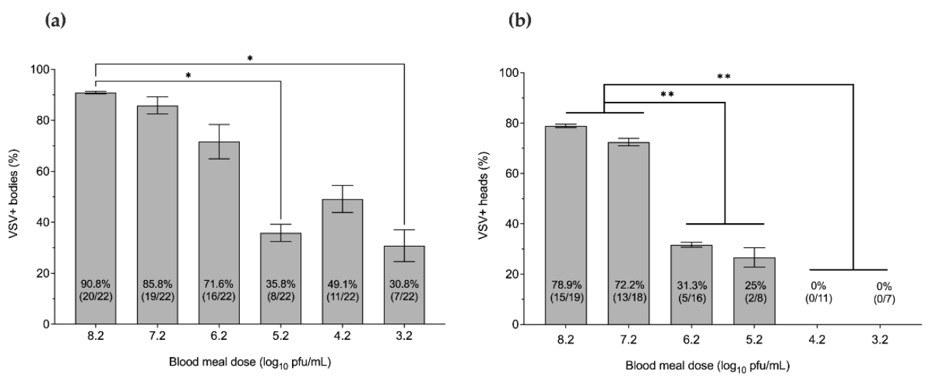 Pathogens 10 00816 g001 550