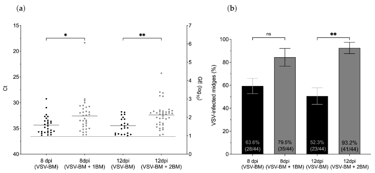 Pathogens 10 00816 g004 550