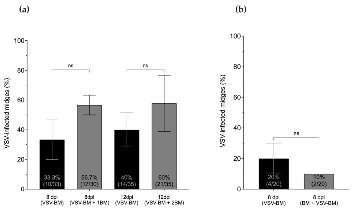 Pathogens 10 00816 g005 550