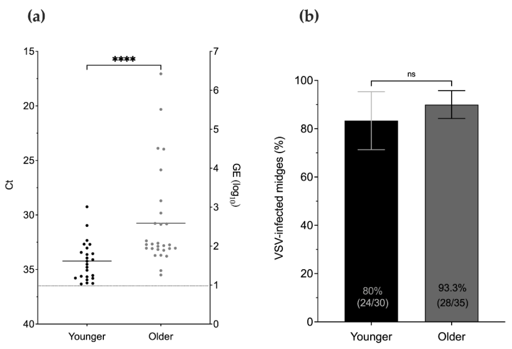 Pathogens 10 00816 g007 550