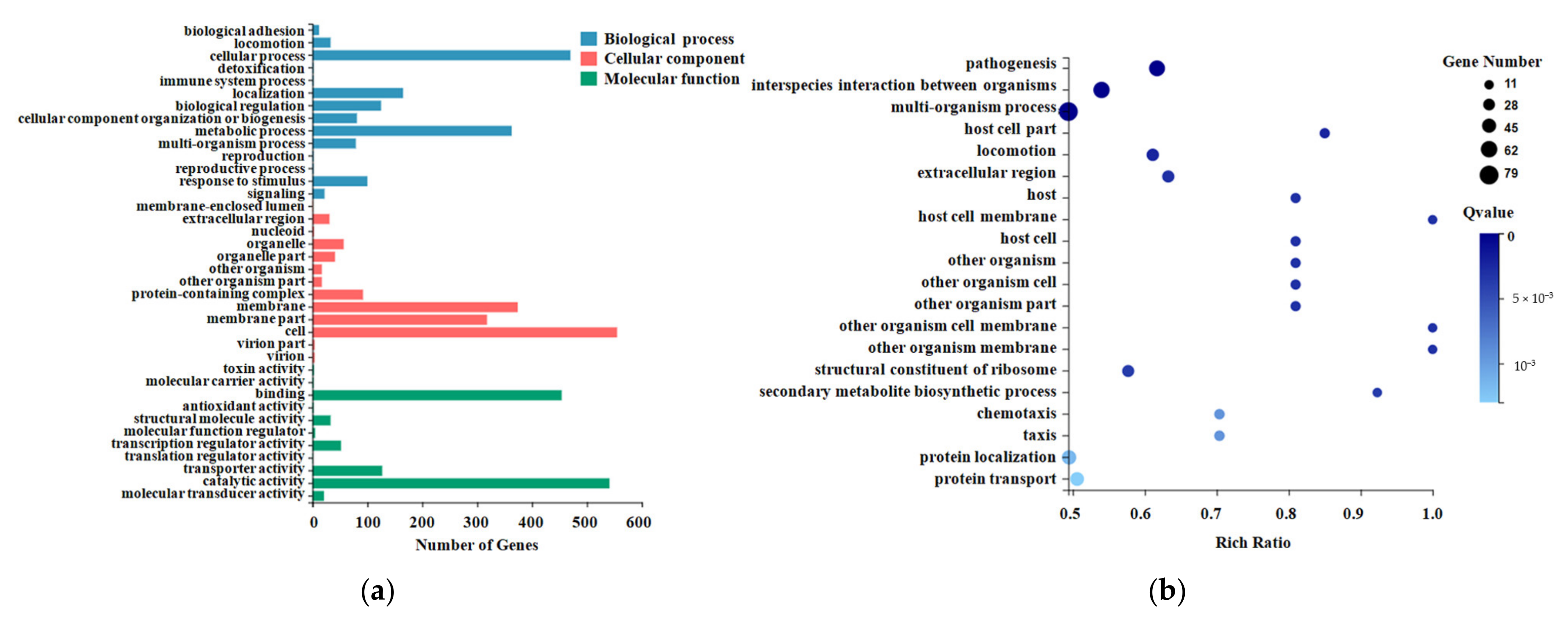 Pathogens 10 00823 g002 Pathogens 10 00823 g002