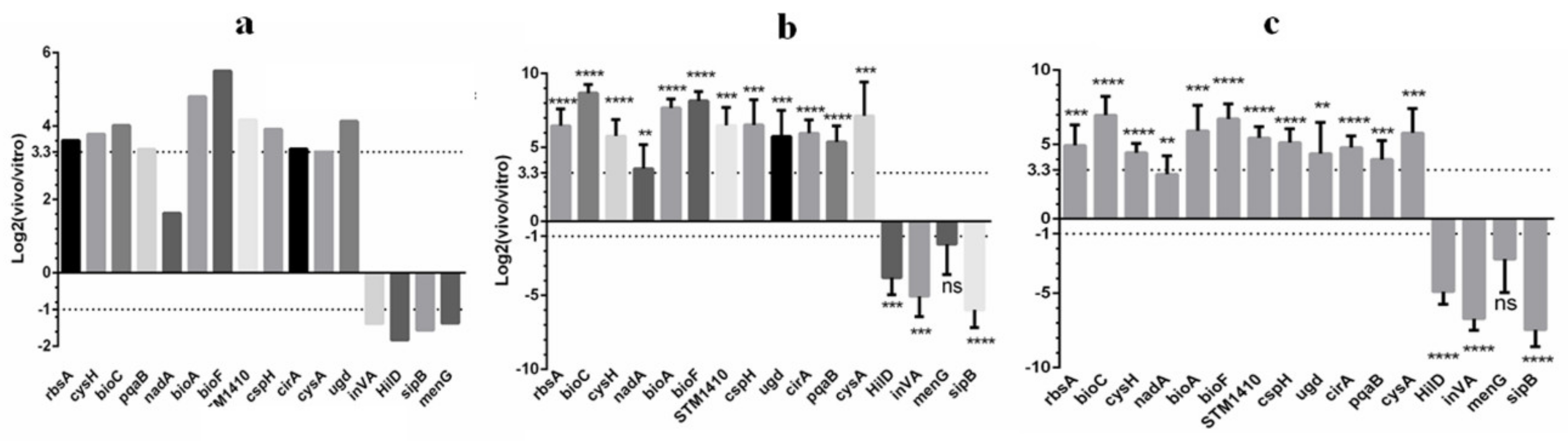 Pathogens 10 00823 g004 Pathogens 10 00823 g004
