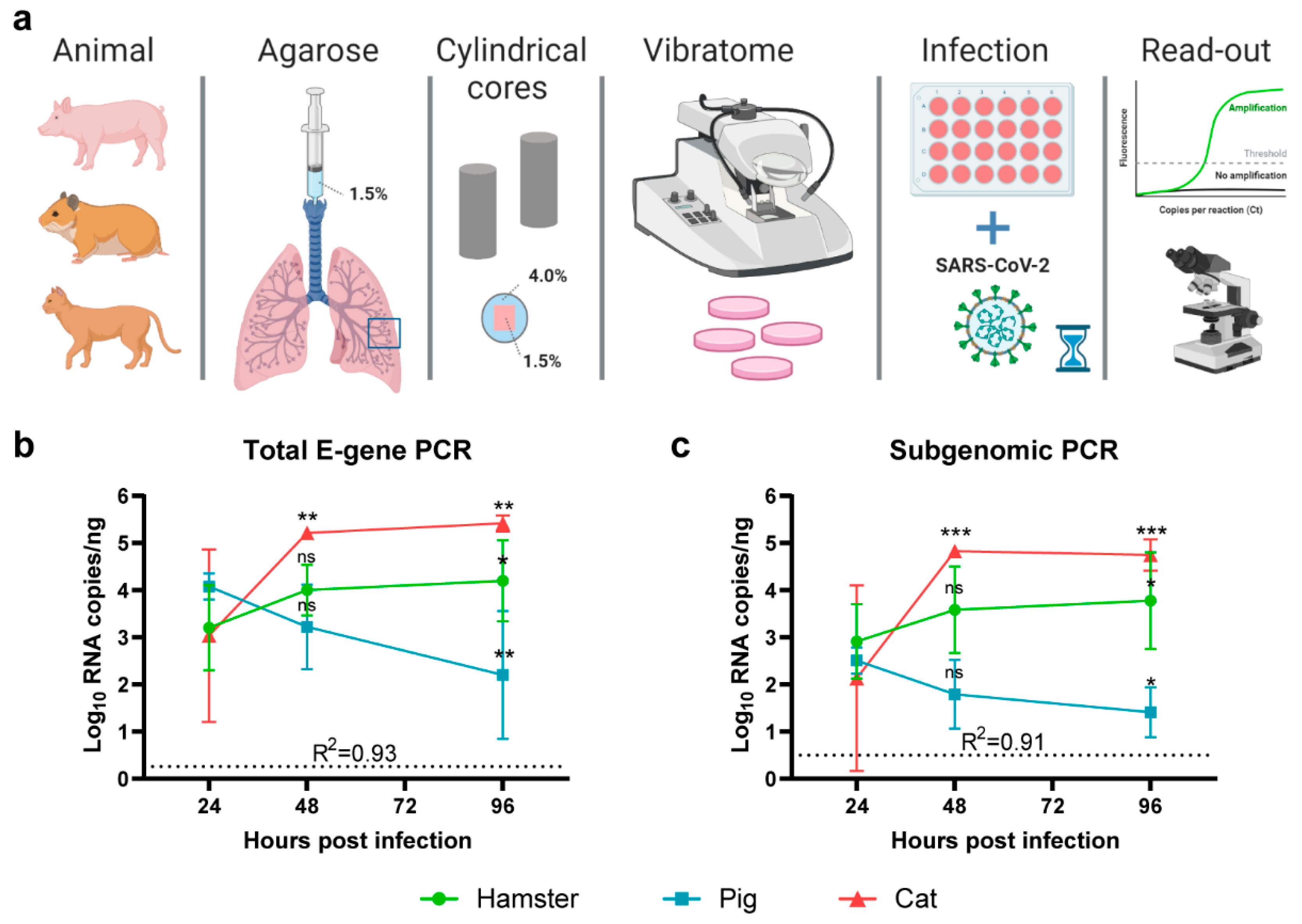 Pathogens 10 00824 g001 550