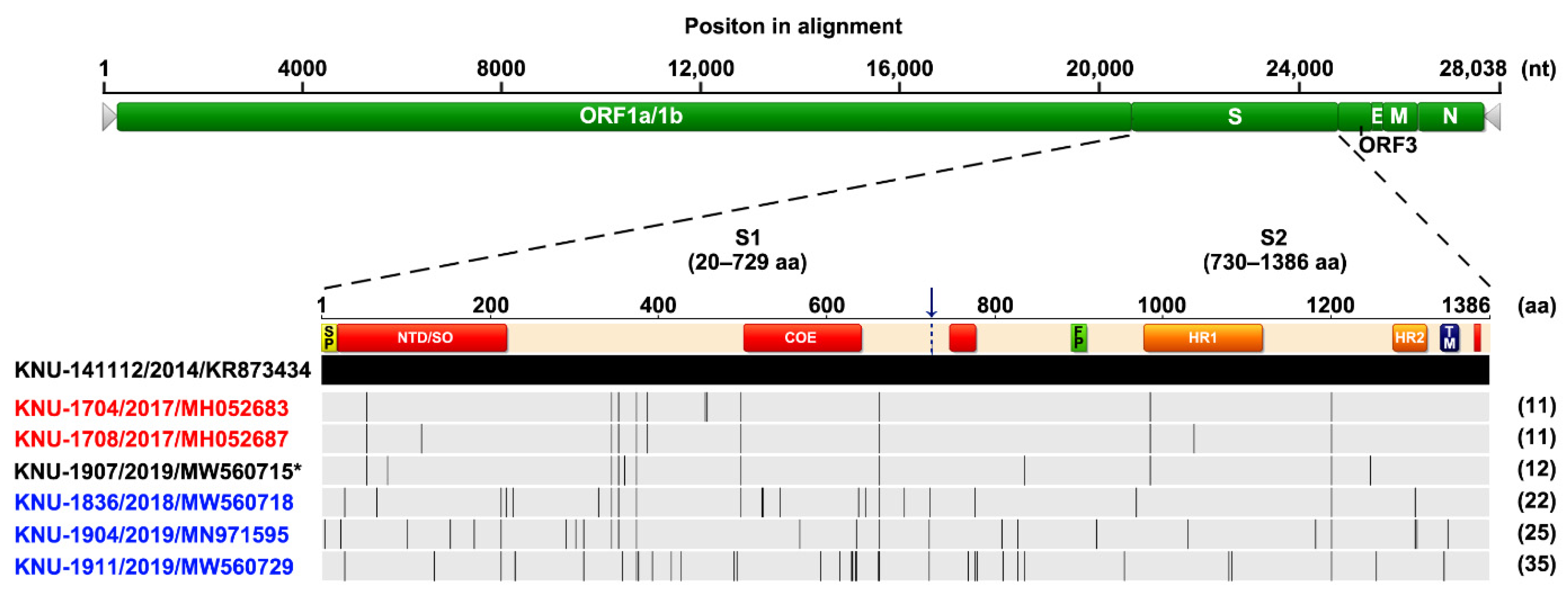 Pathogens 10 00830 g001