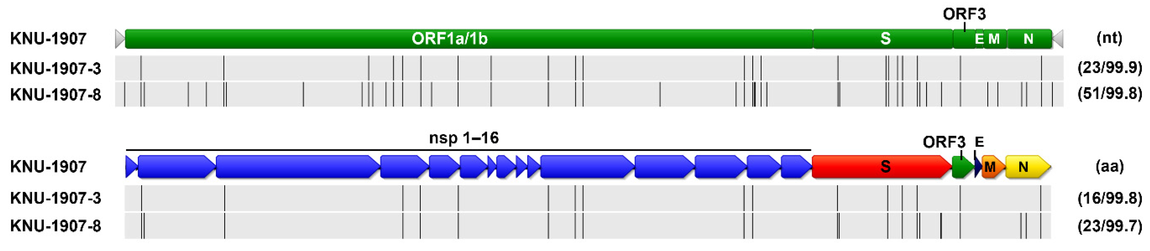 Pathogens 10 00830 g012