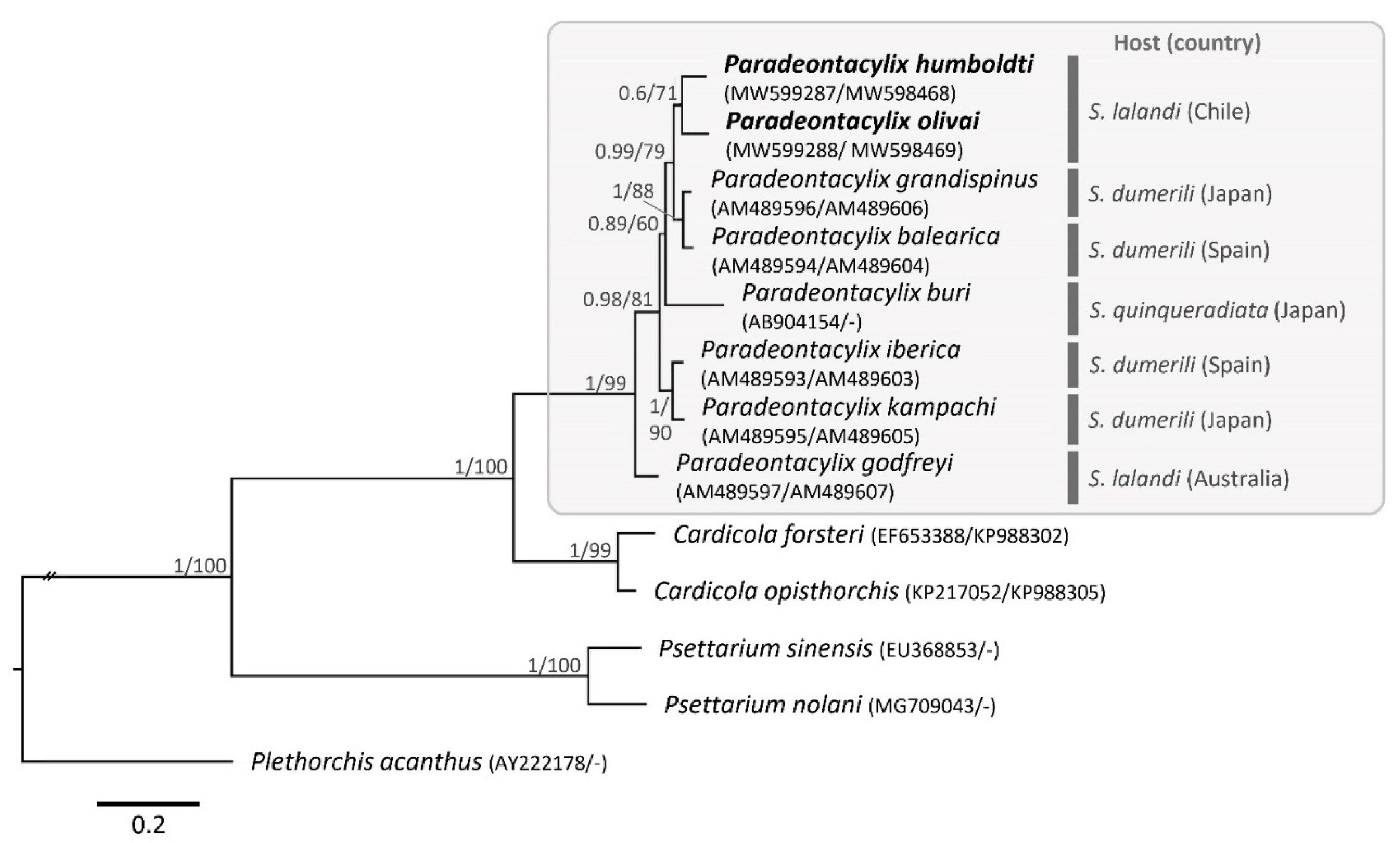Pathogens 10 00849 g003