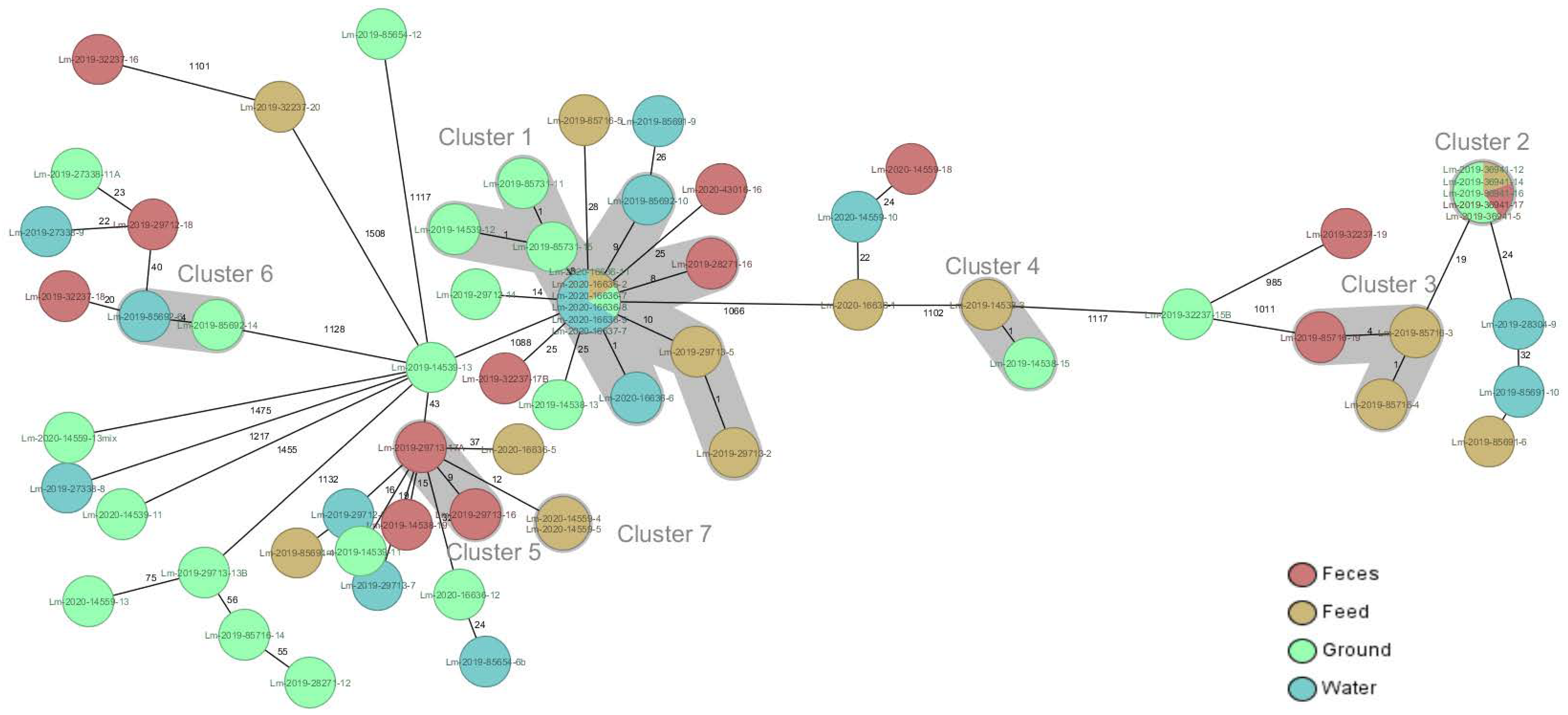 Pathogens 10 00851 g001 550