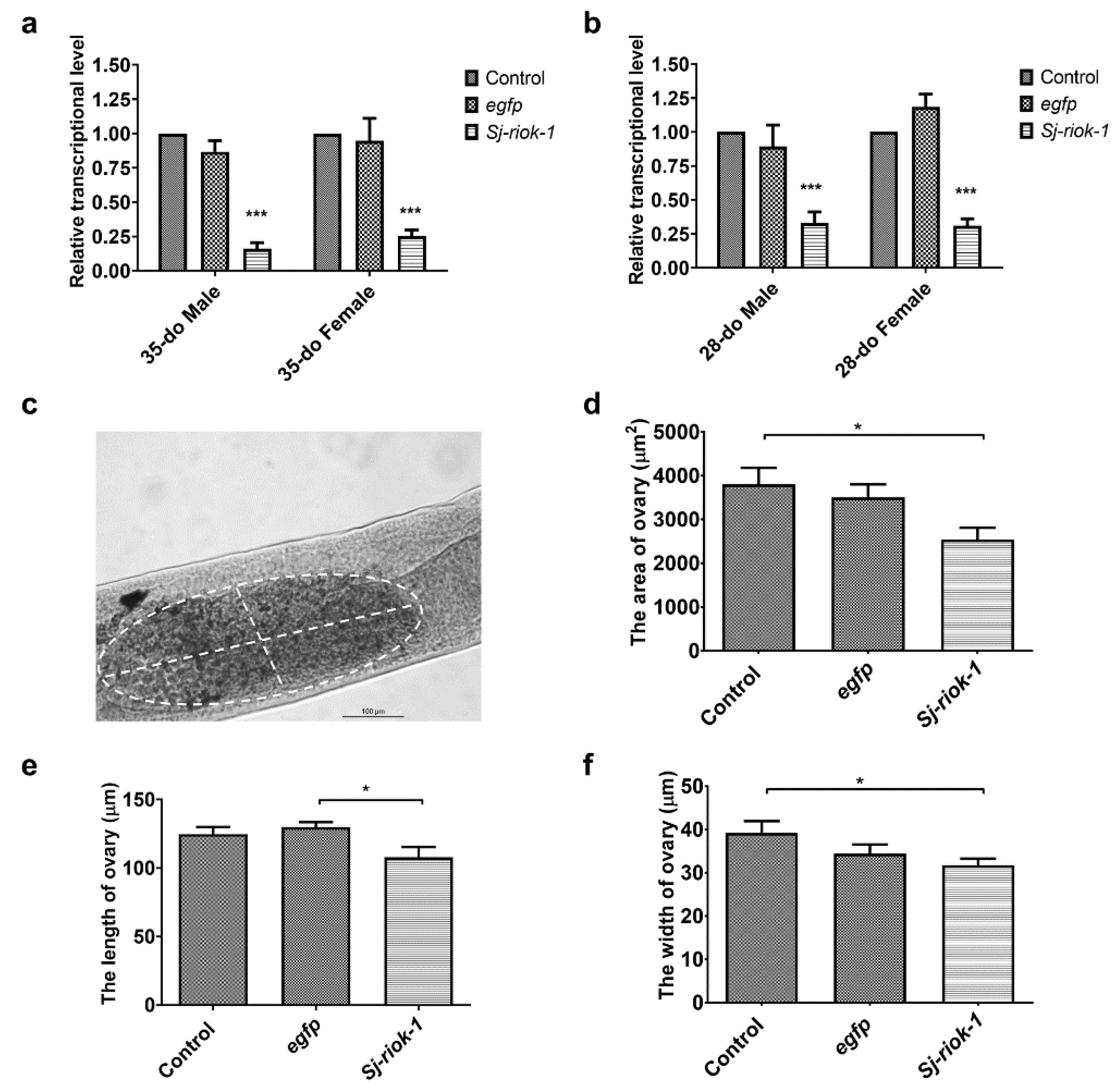 Pathogens 10 00862 g003