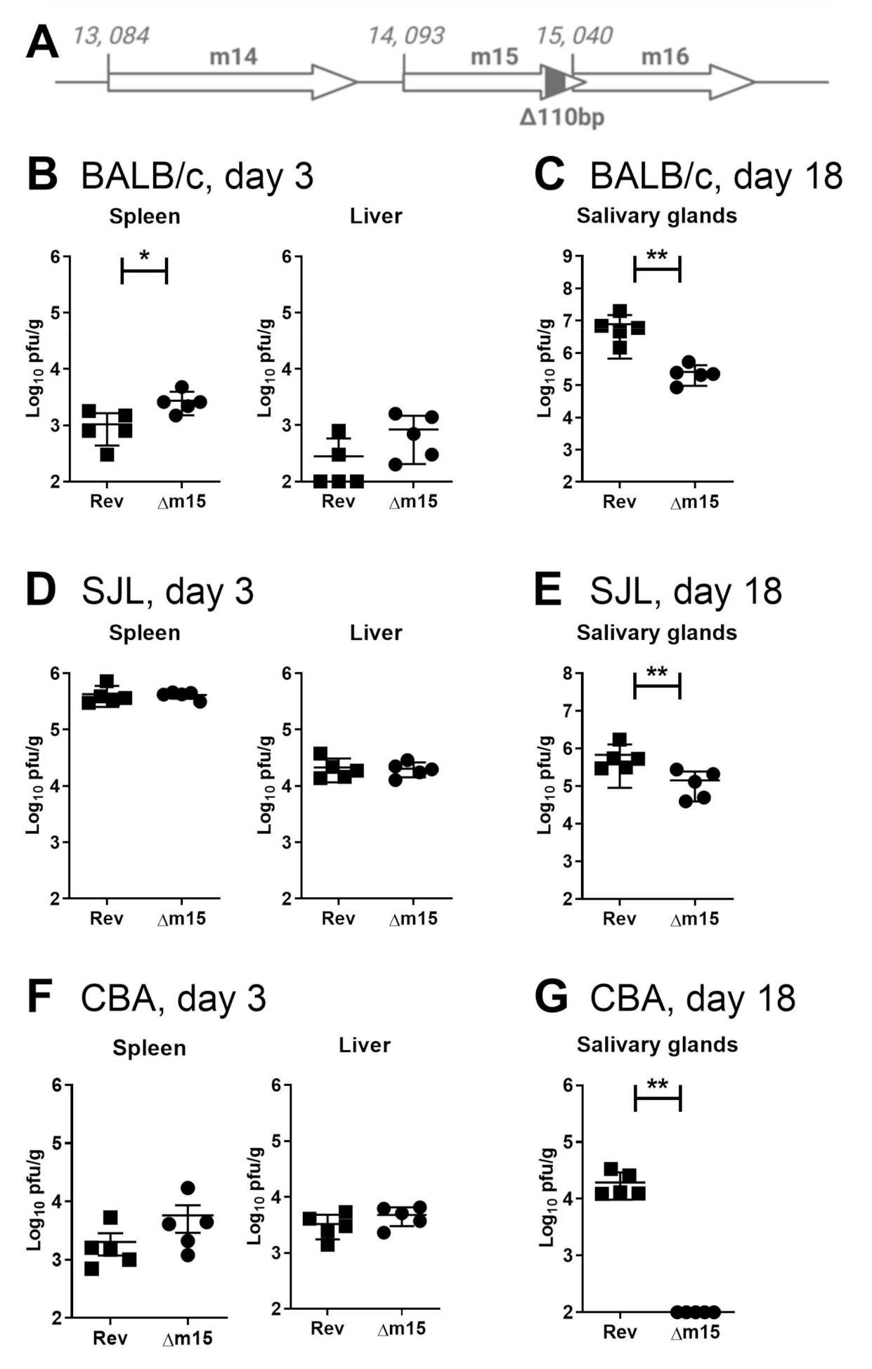 Pathogens 10 00866 g001 Pathogens 10 00866 g001