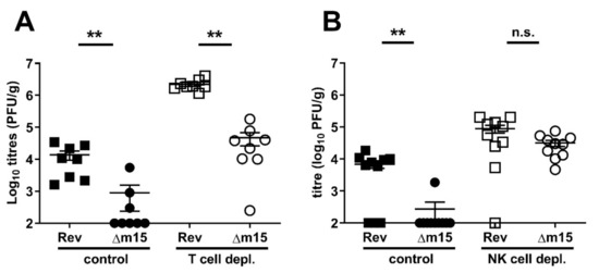 Pathogens Free Full Text The M15 Locus Of Murine Cytomegalovirus Modulates Natural Killer Cell Responses To Promote Dissemination To The Salivary Glands And Viral Shedding Pathogens Free Full Text The M15 Locus Of Murine Cytomegalovirus Modulates Natural Killer Cell Responses To Promote Dissemination To The Salivary Glands And Viral Shedding