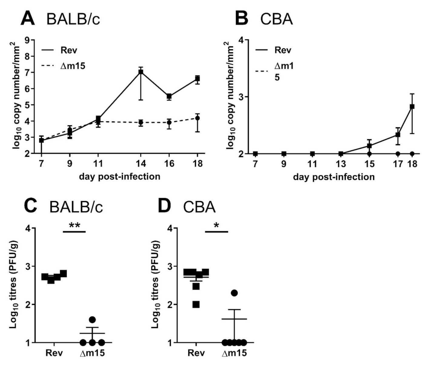 Pathogens 10 00866 g007 Pathogens 10 00866 g007