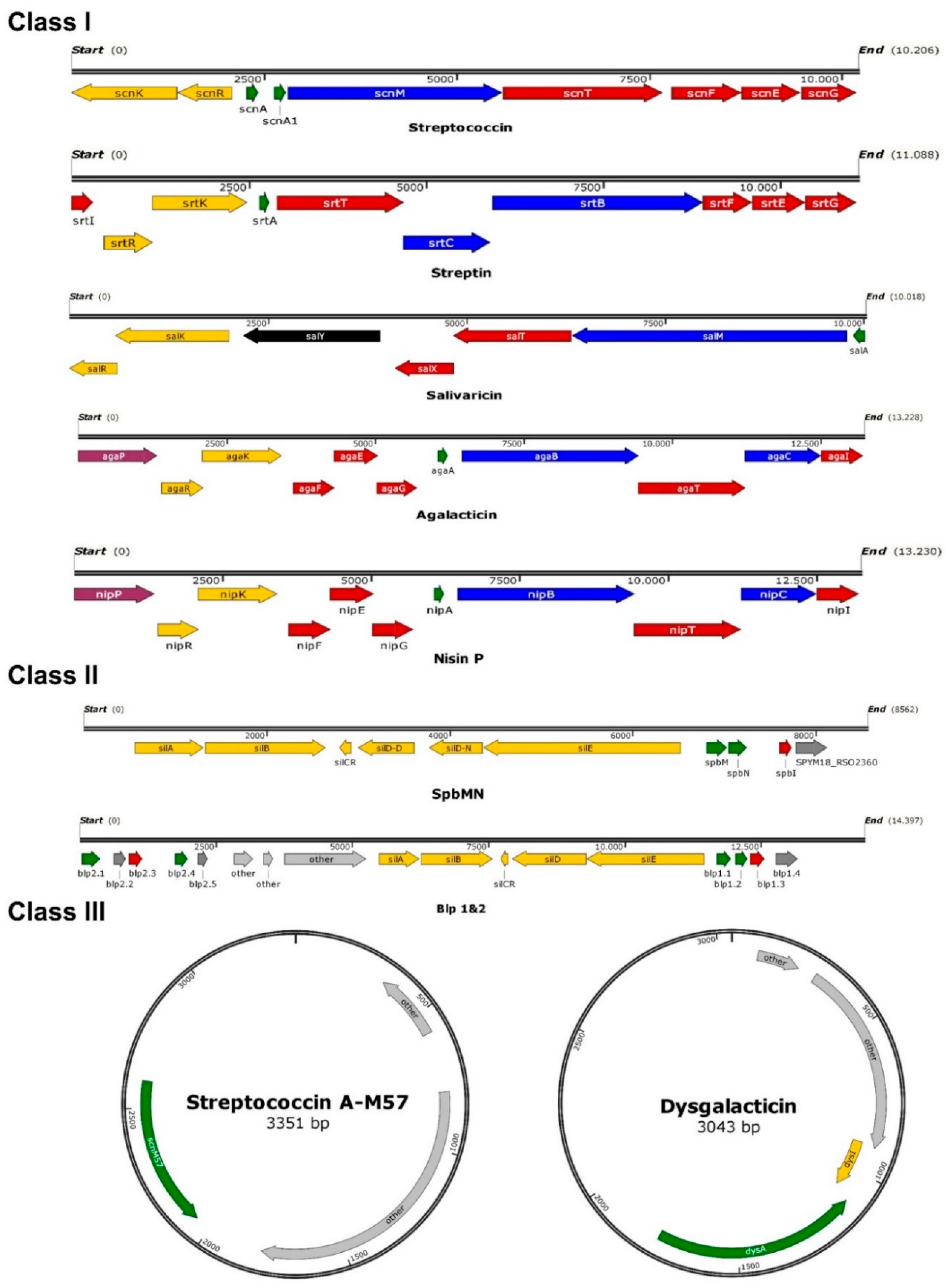 Pathogens 10 00867 g001