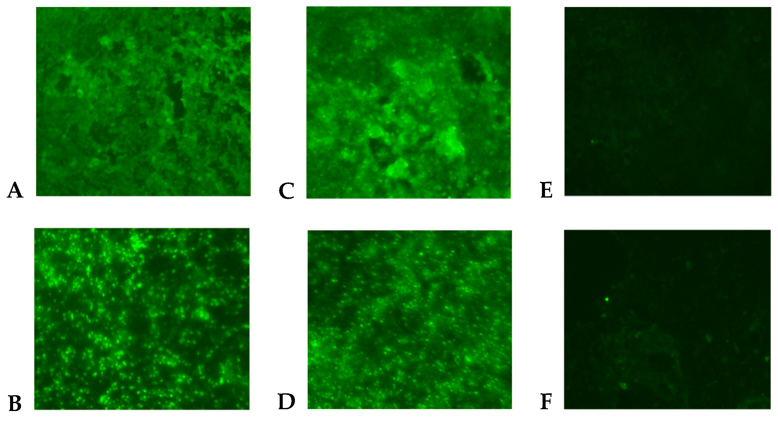 Pathogens 10 00872 g001