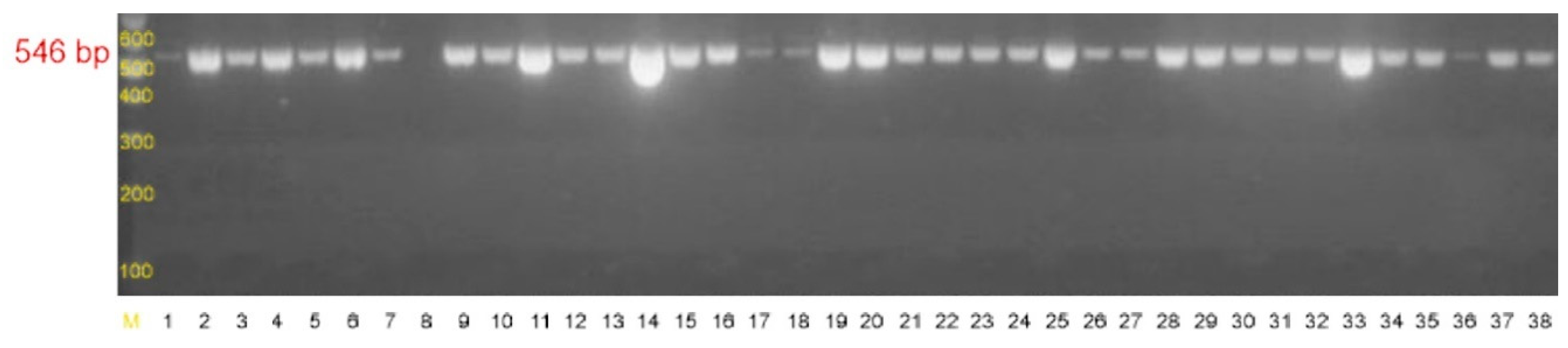 Pathogens 10 00877 g006