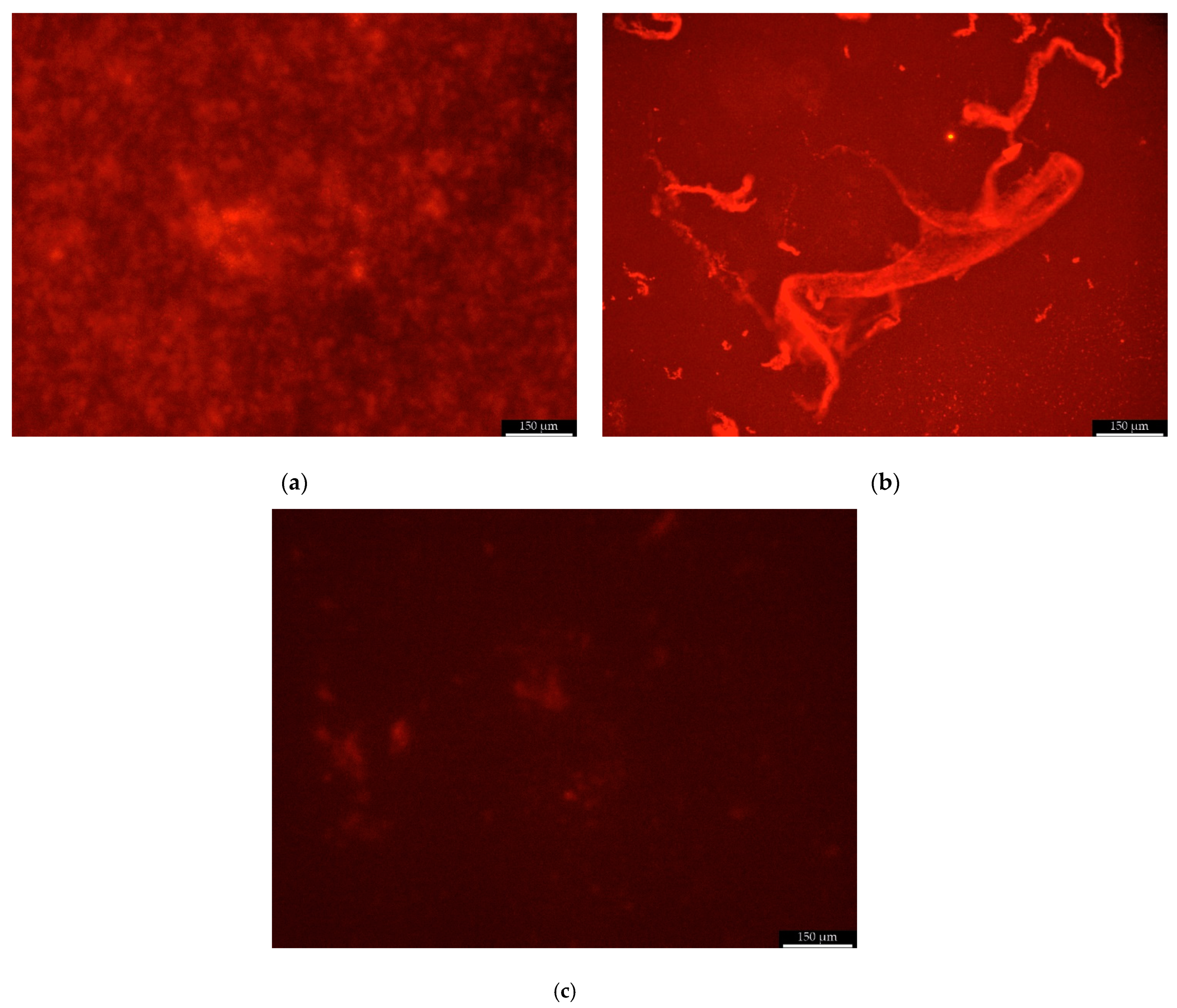 Pathogens 10 00877 g007