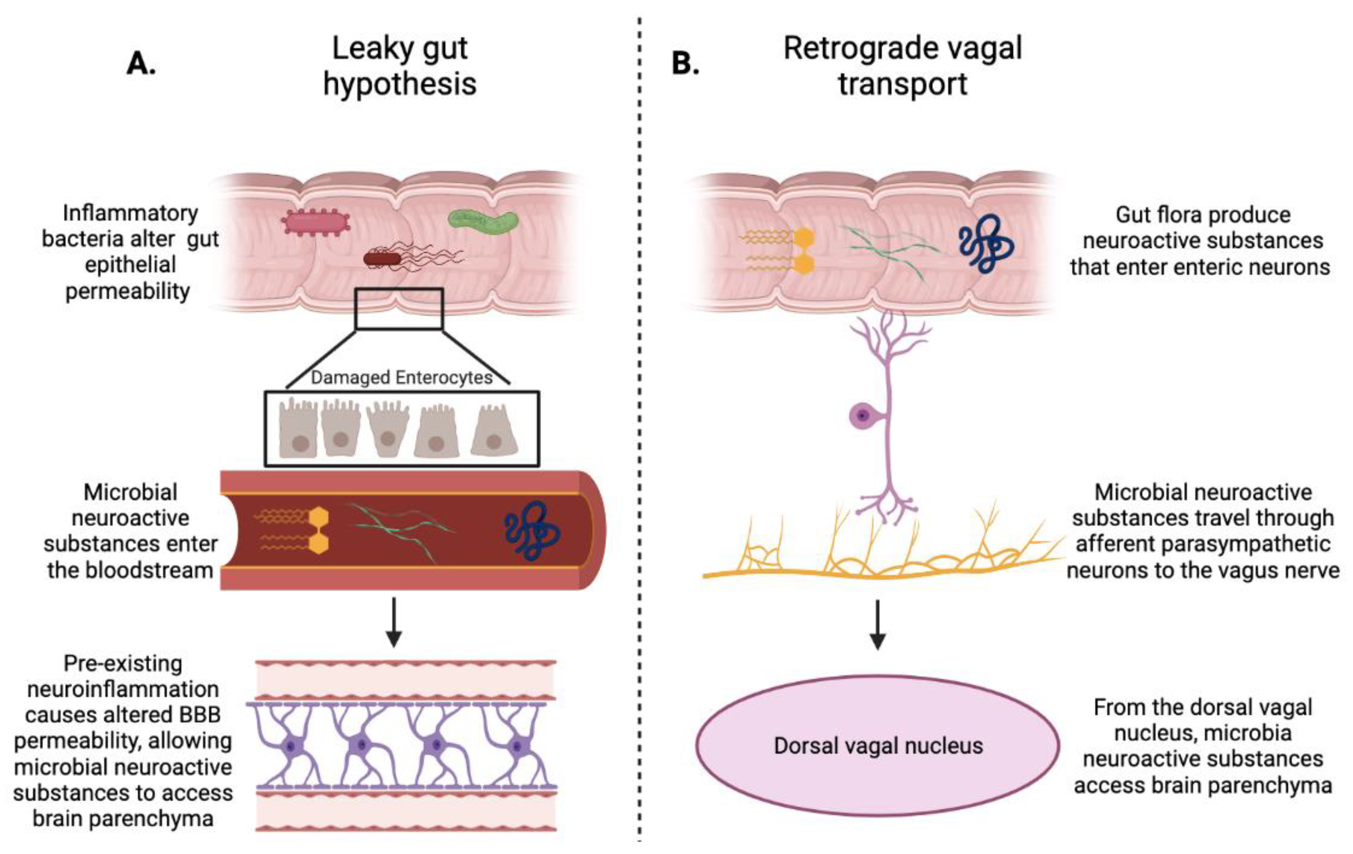 Pathogens 10 00887 g001