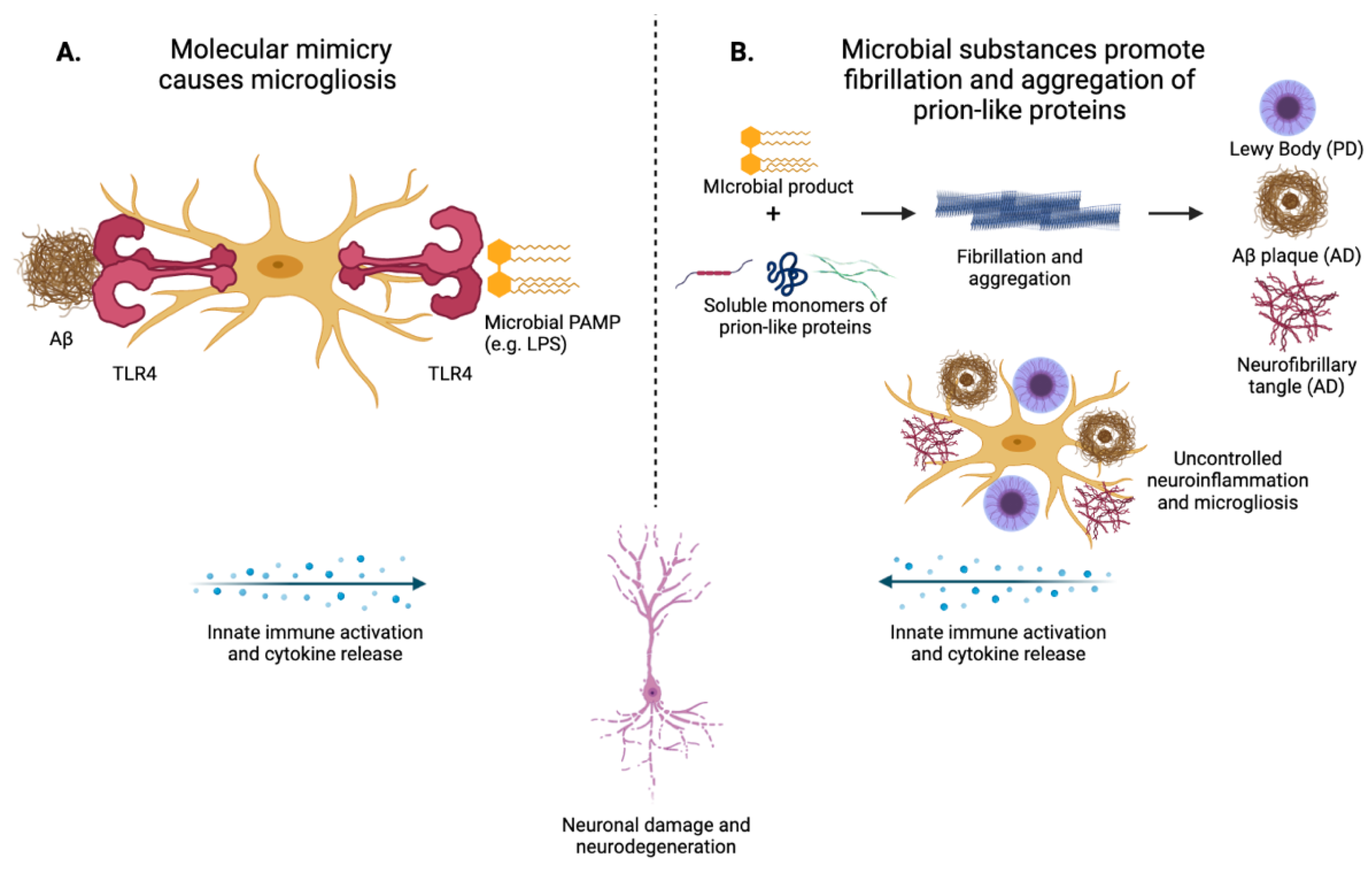 Pathogens 10 00887 g002
