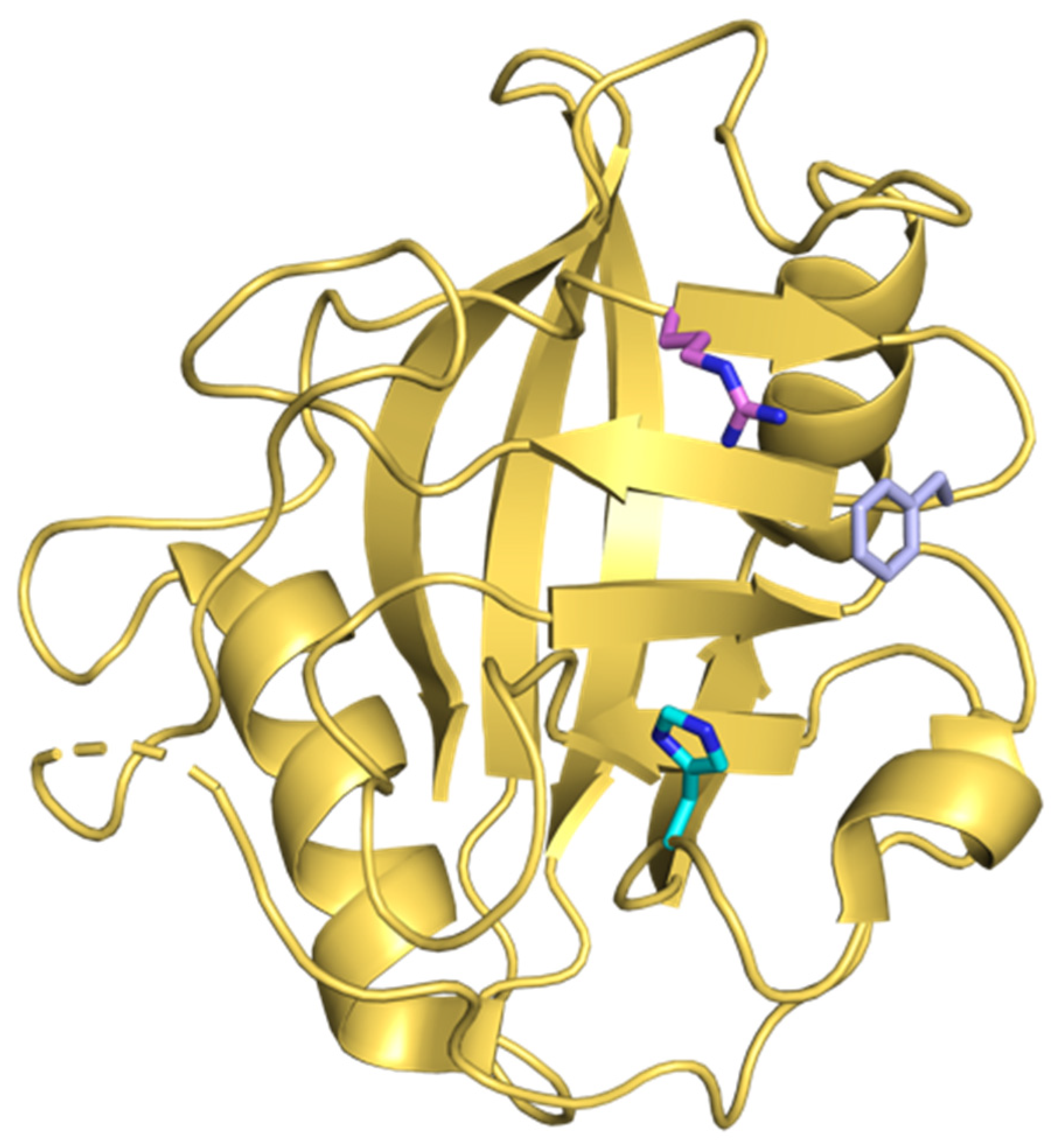 Pathogens 10 00902 g002