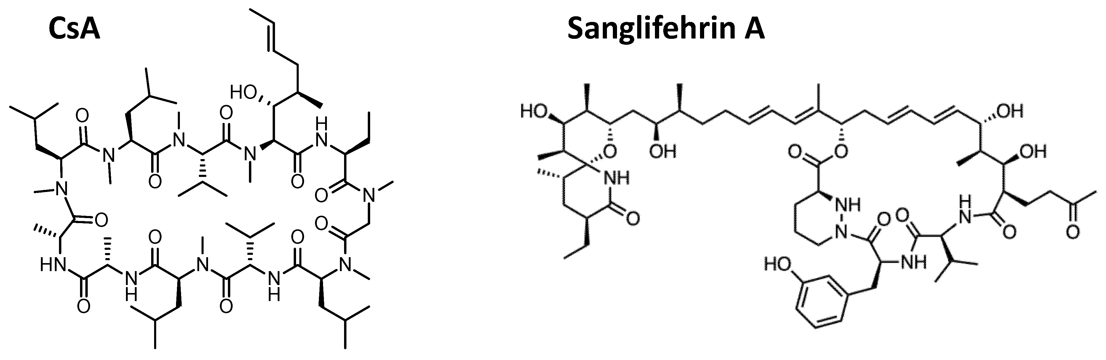 Pathogens 10 00902 g005