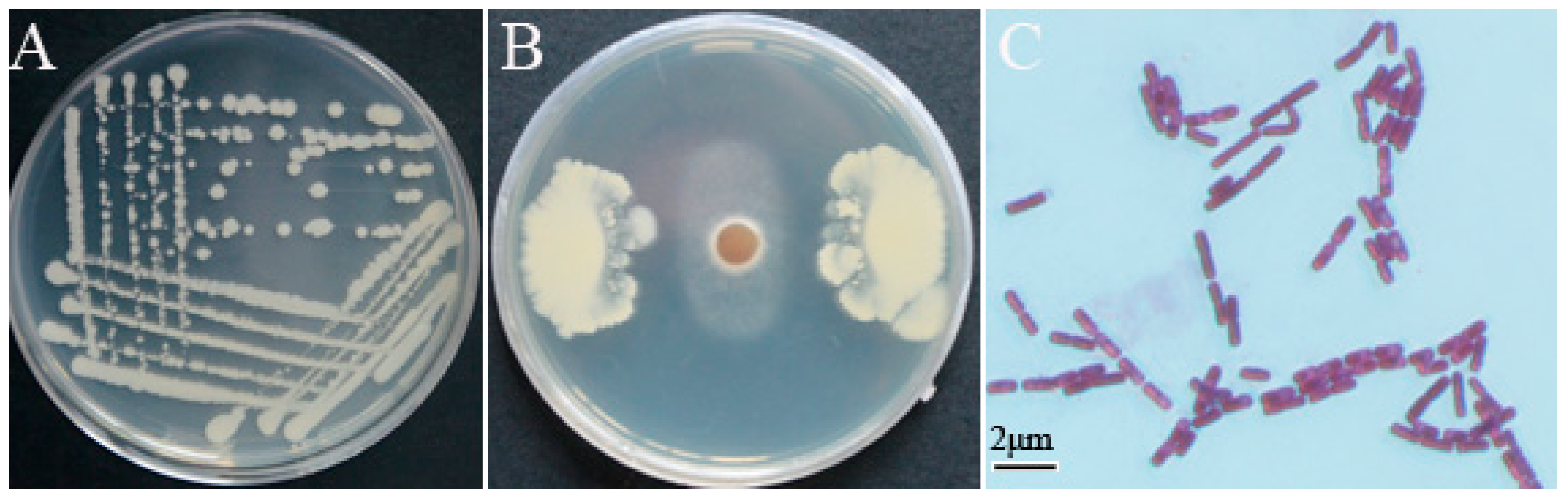 Pathogens 10 00903 g001