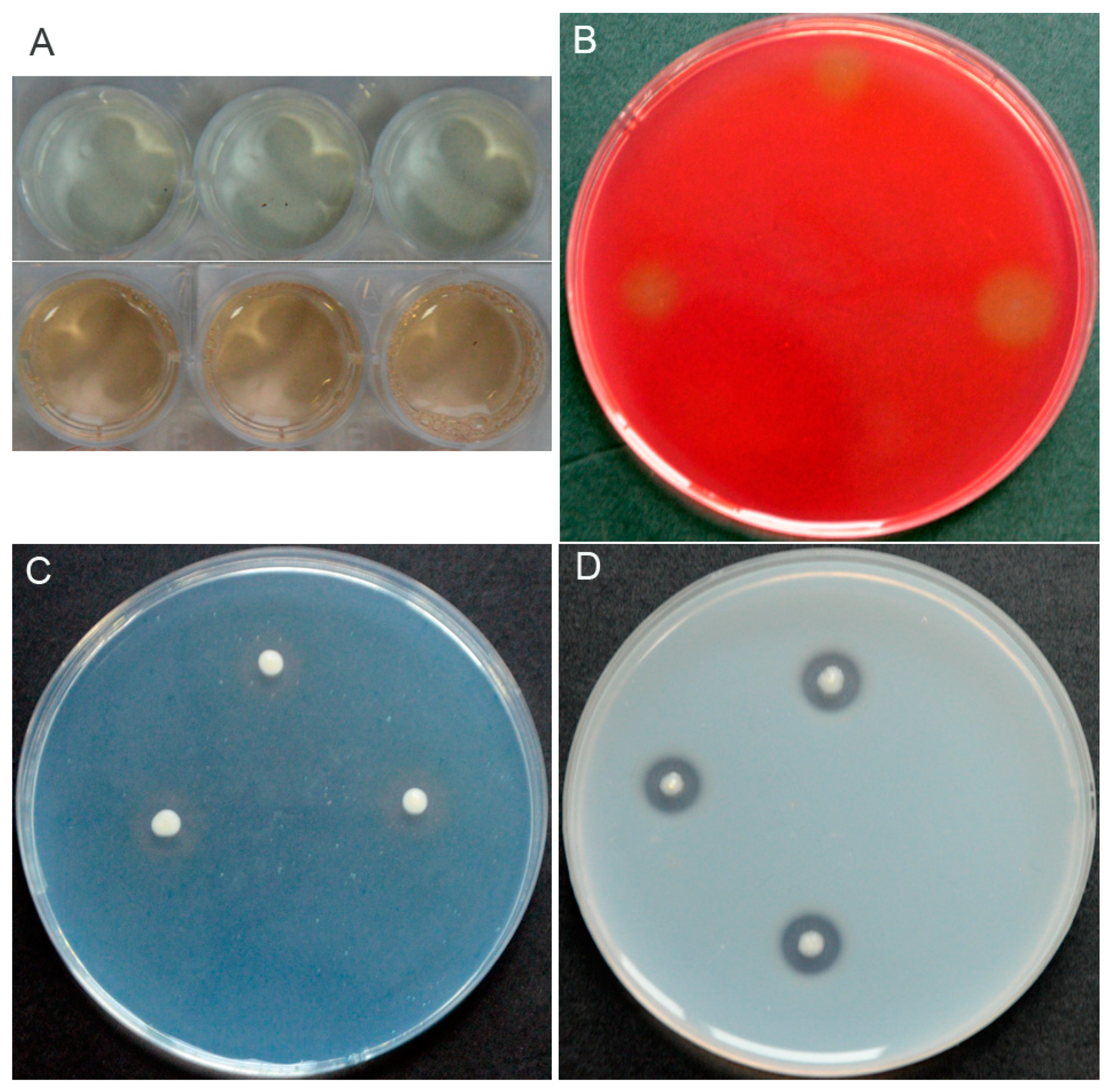 Pathogens 10 00903 g003