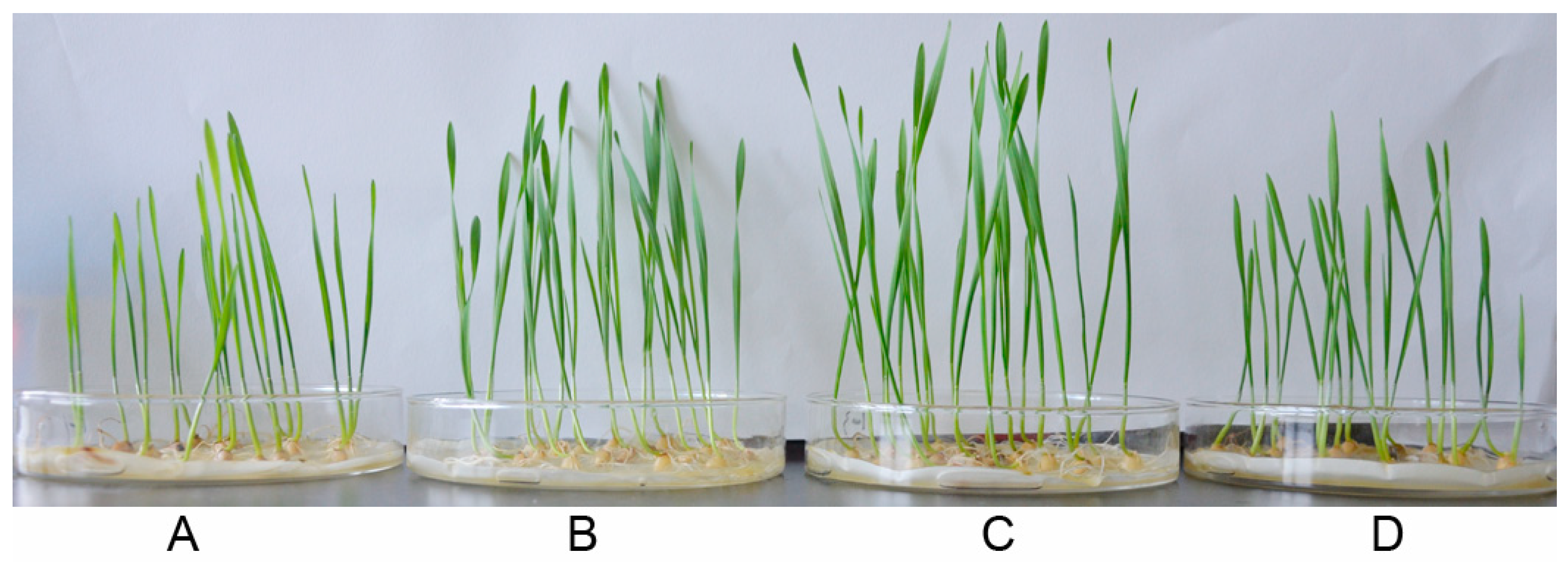 Pathogens 10 00903 g005