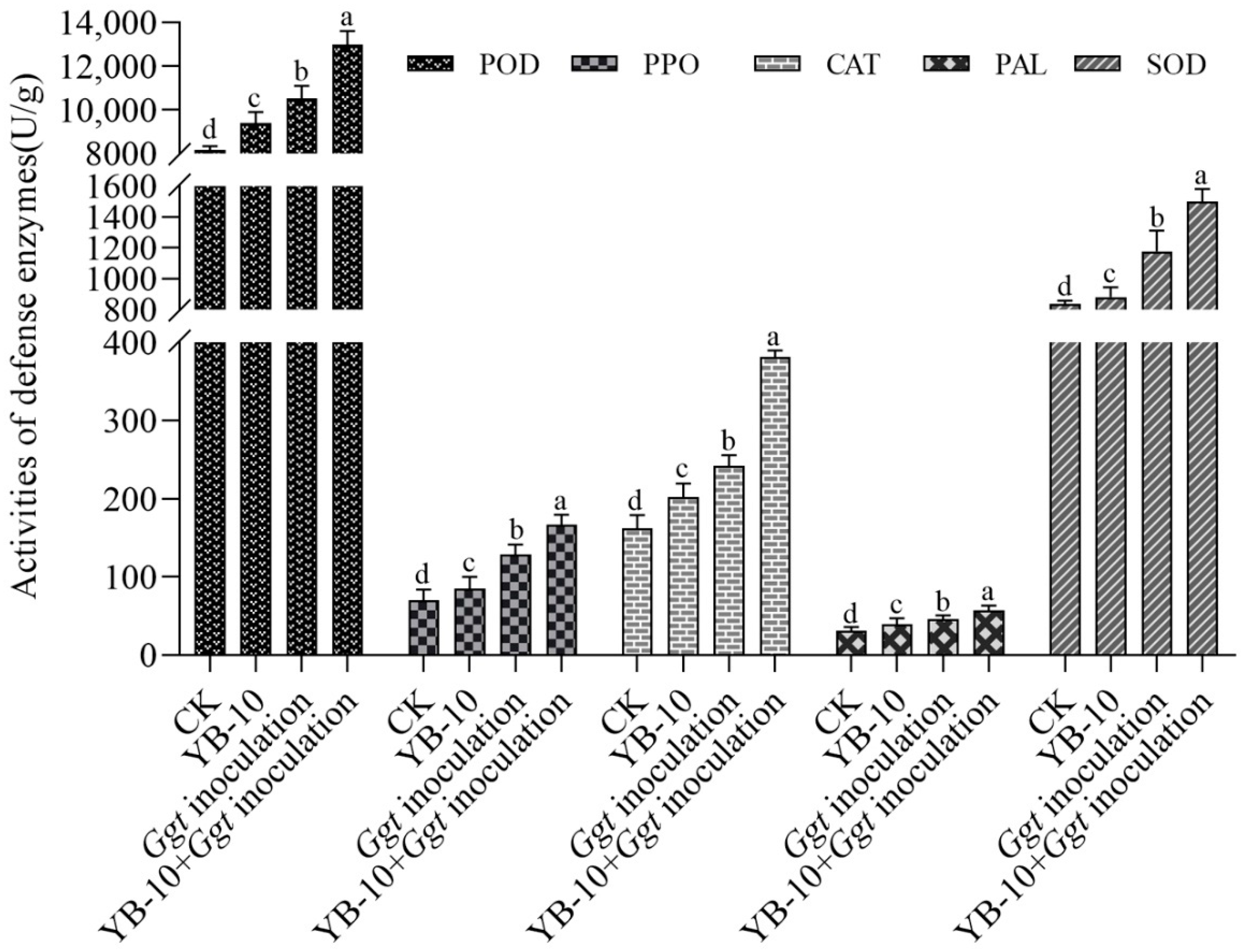 Pathogens 10 00903 g006