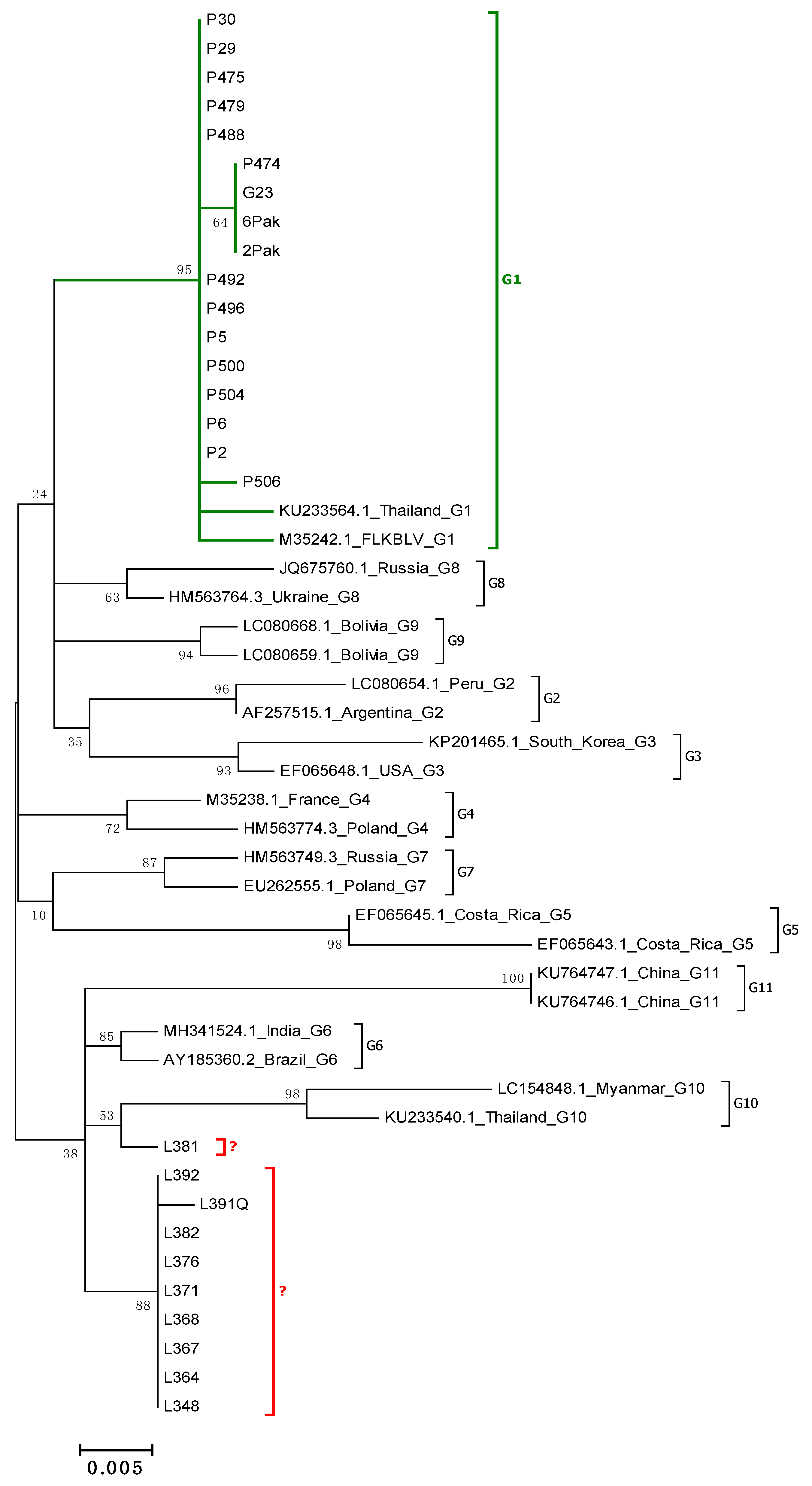 Pathogens 10 00910 g001