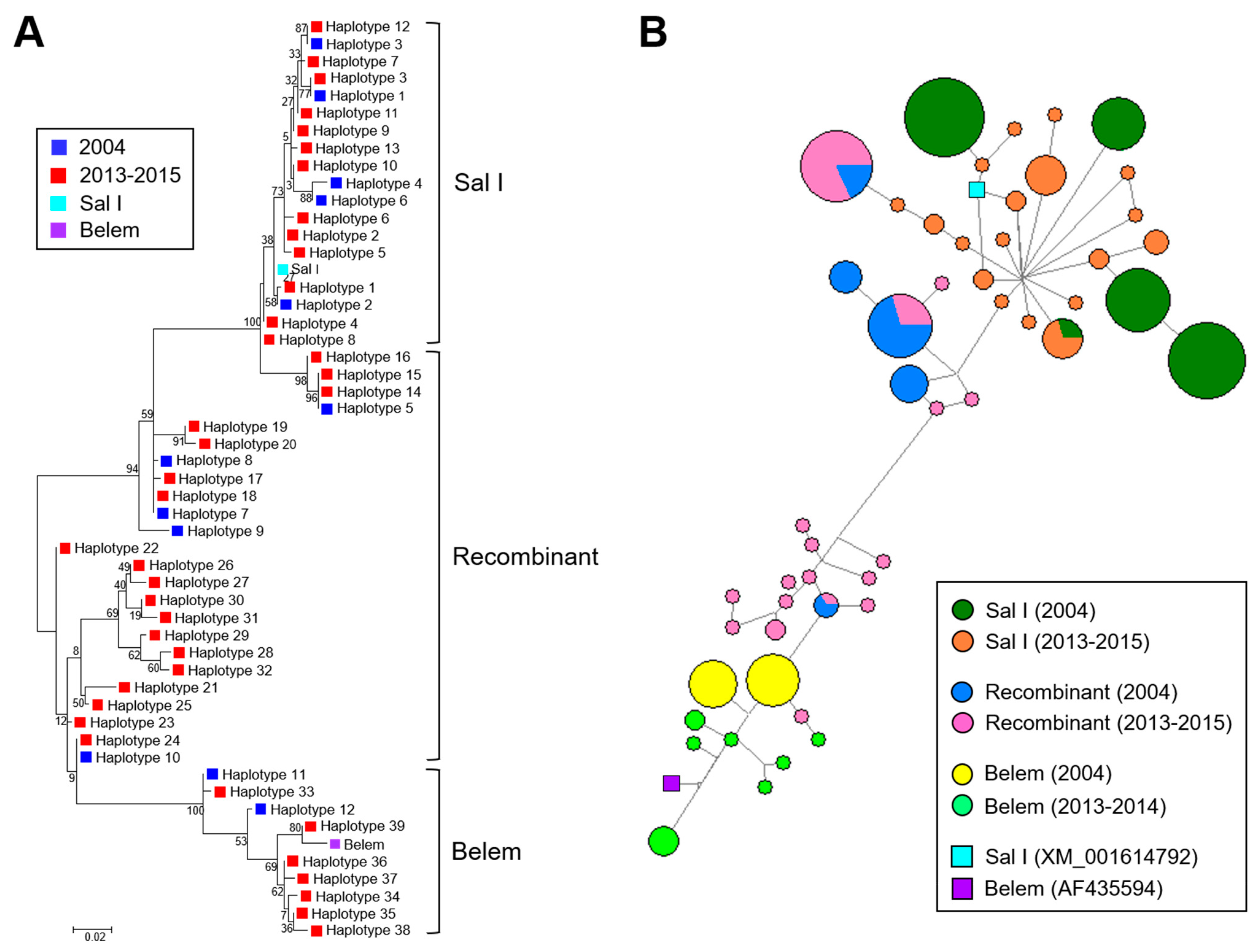 Pathogens 10 00916 g004 Pathogens 10 00916 g004