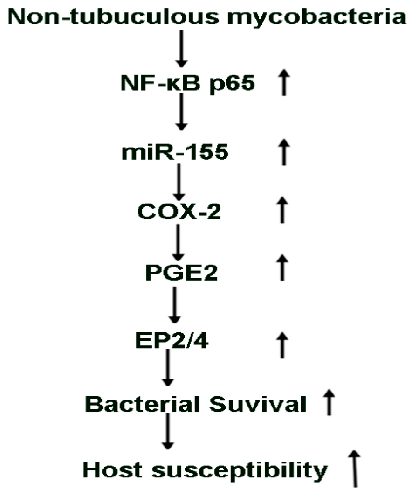 Pathogens 10 00920 g006 550