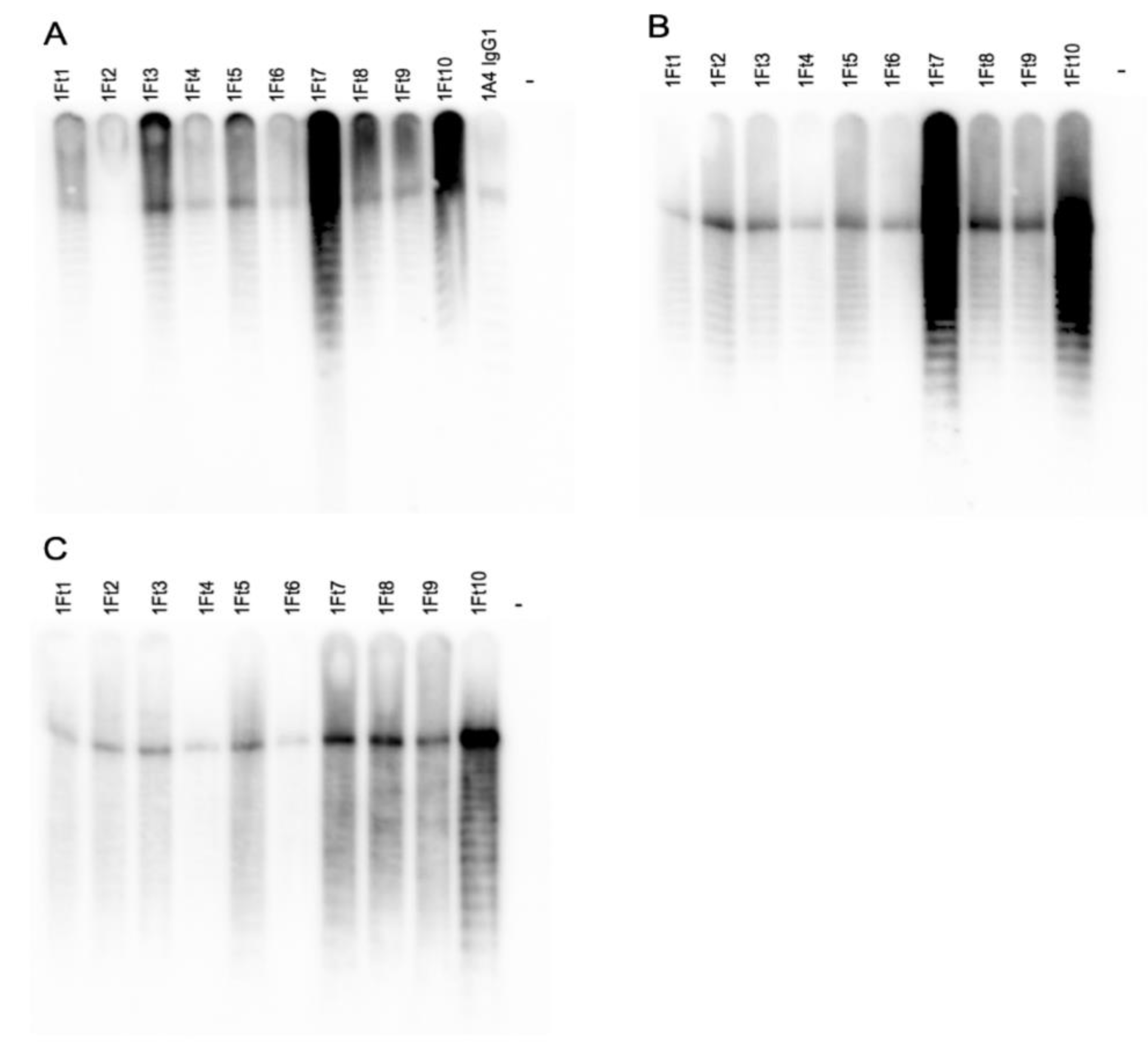 Pathogens 10 00924 g001 550