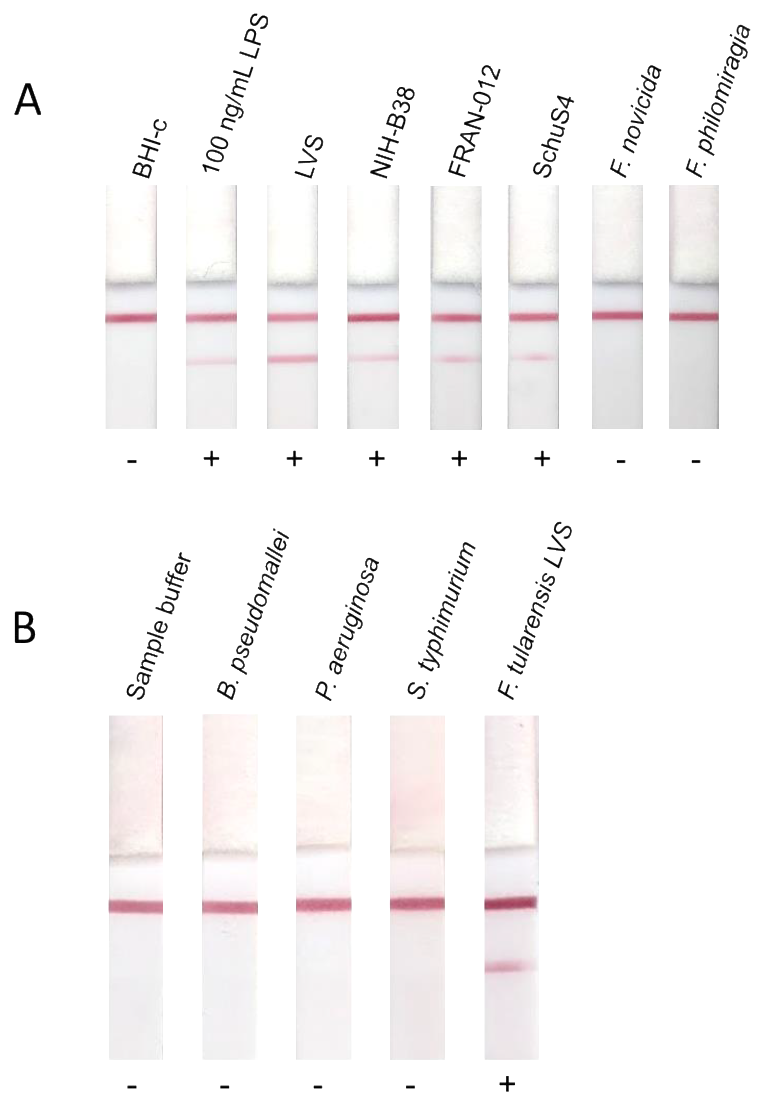 Pathogens 10 00924 g003 550