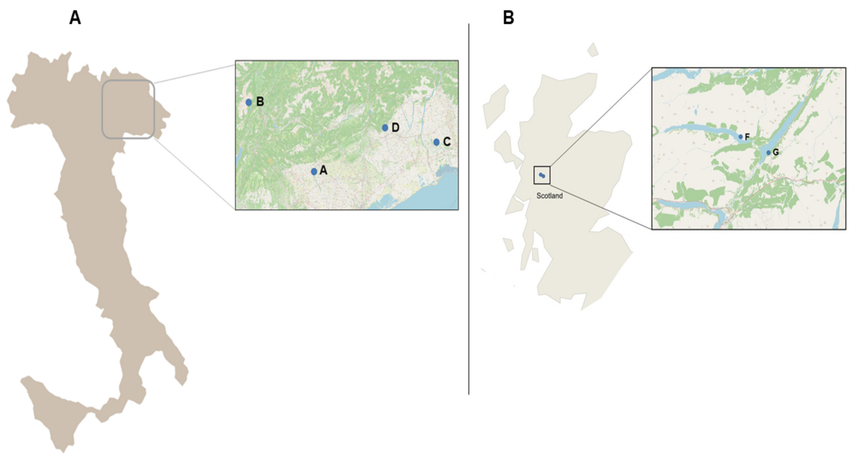 Pathogens 10 00926 g007