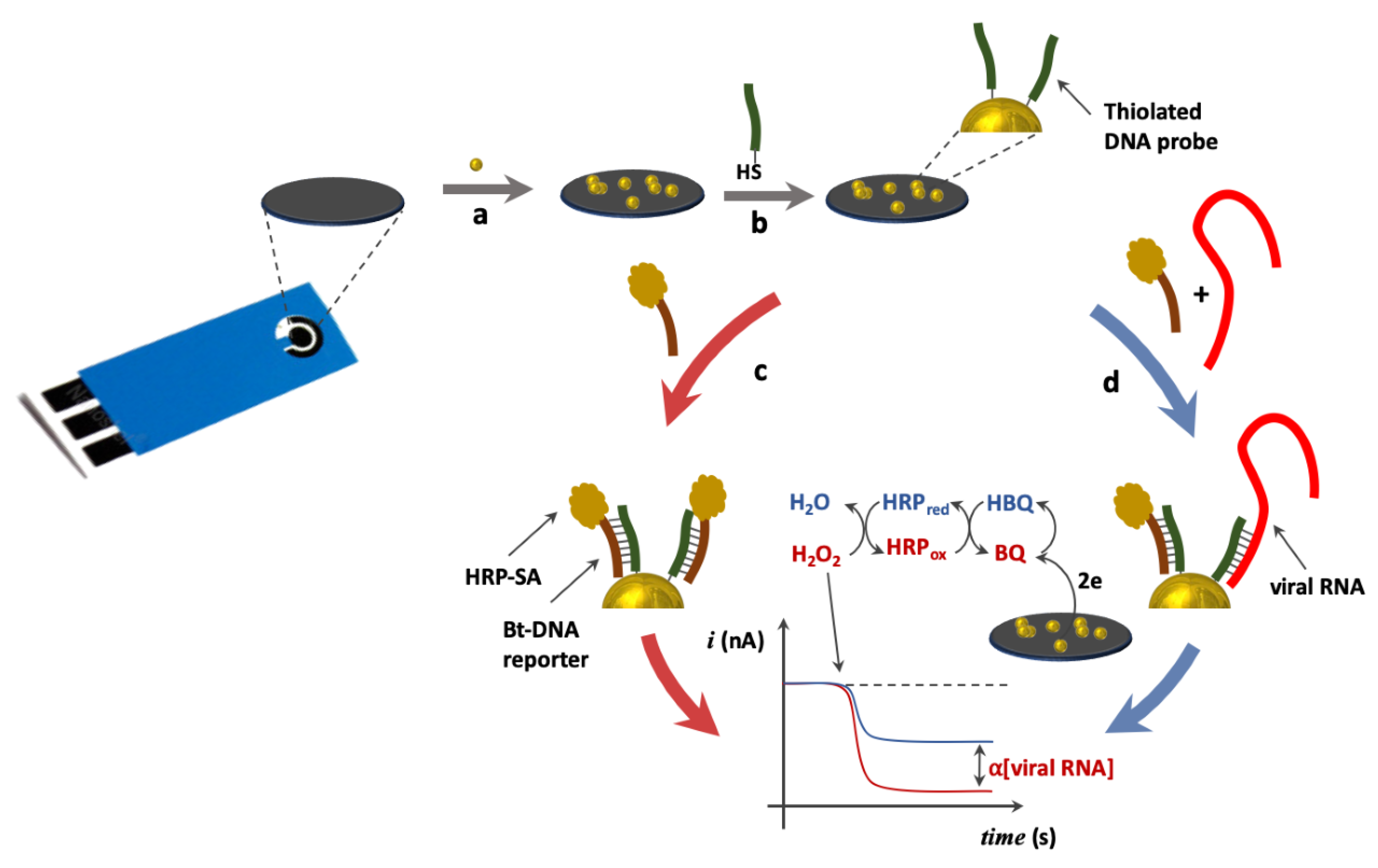 Pathogens 10 00932 g002