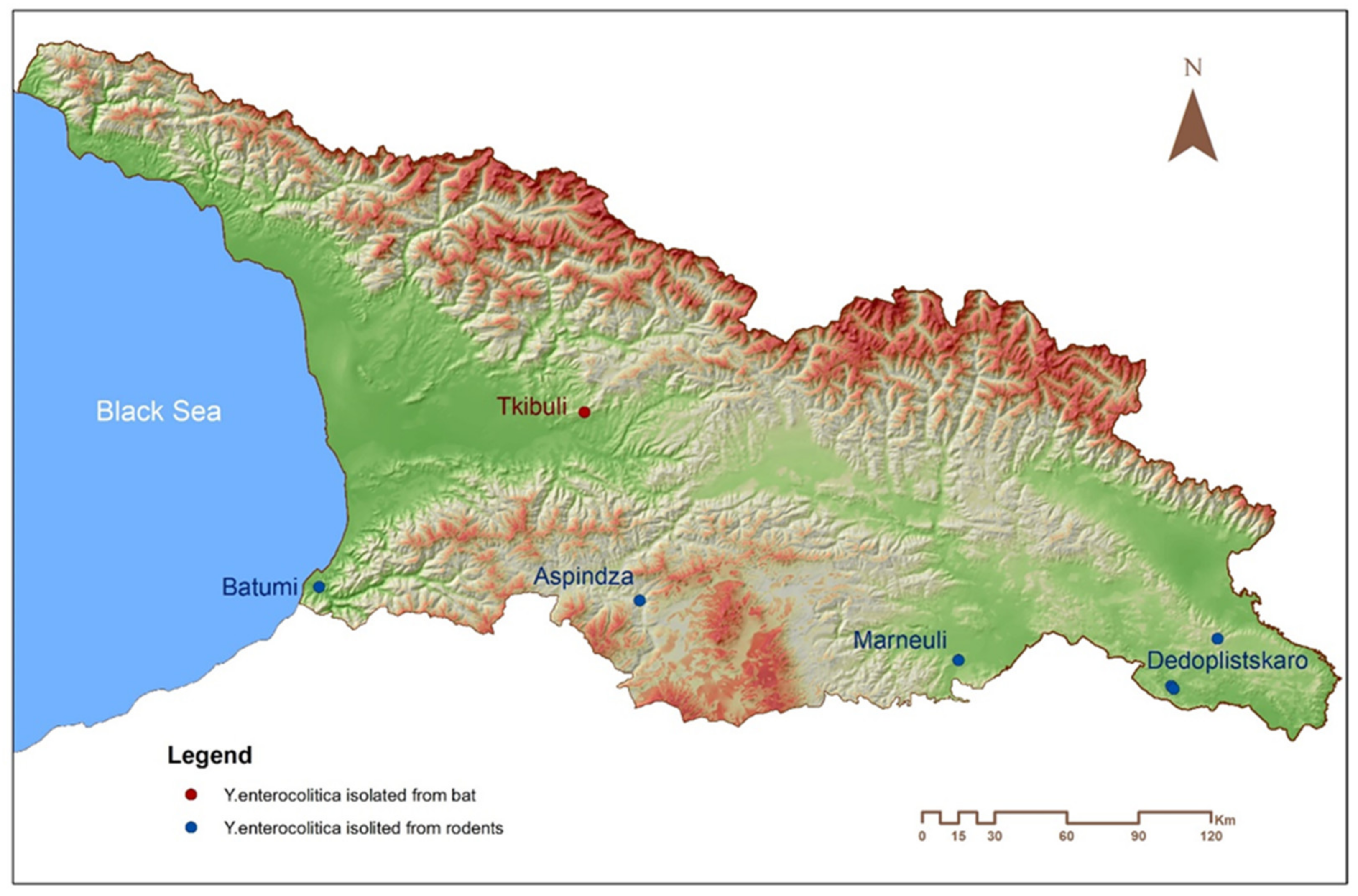 Pathogens 10 00939 g001
