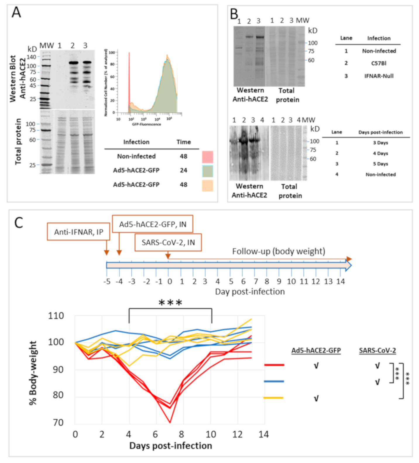 Pathogens 10 00940 g001