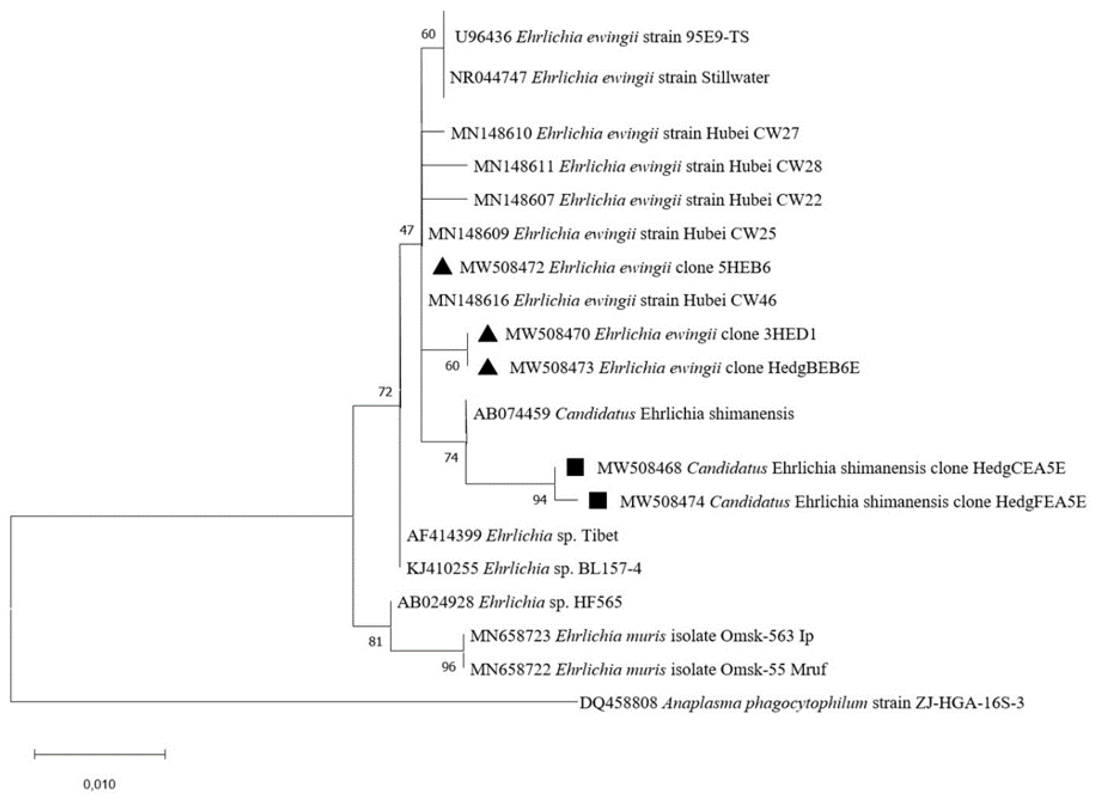 Pathogens 10 00953 g002 Pathogens 10 00953 g002